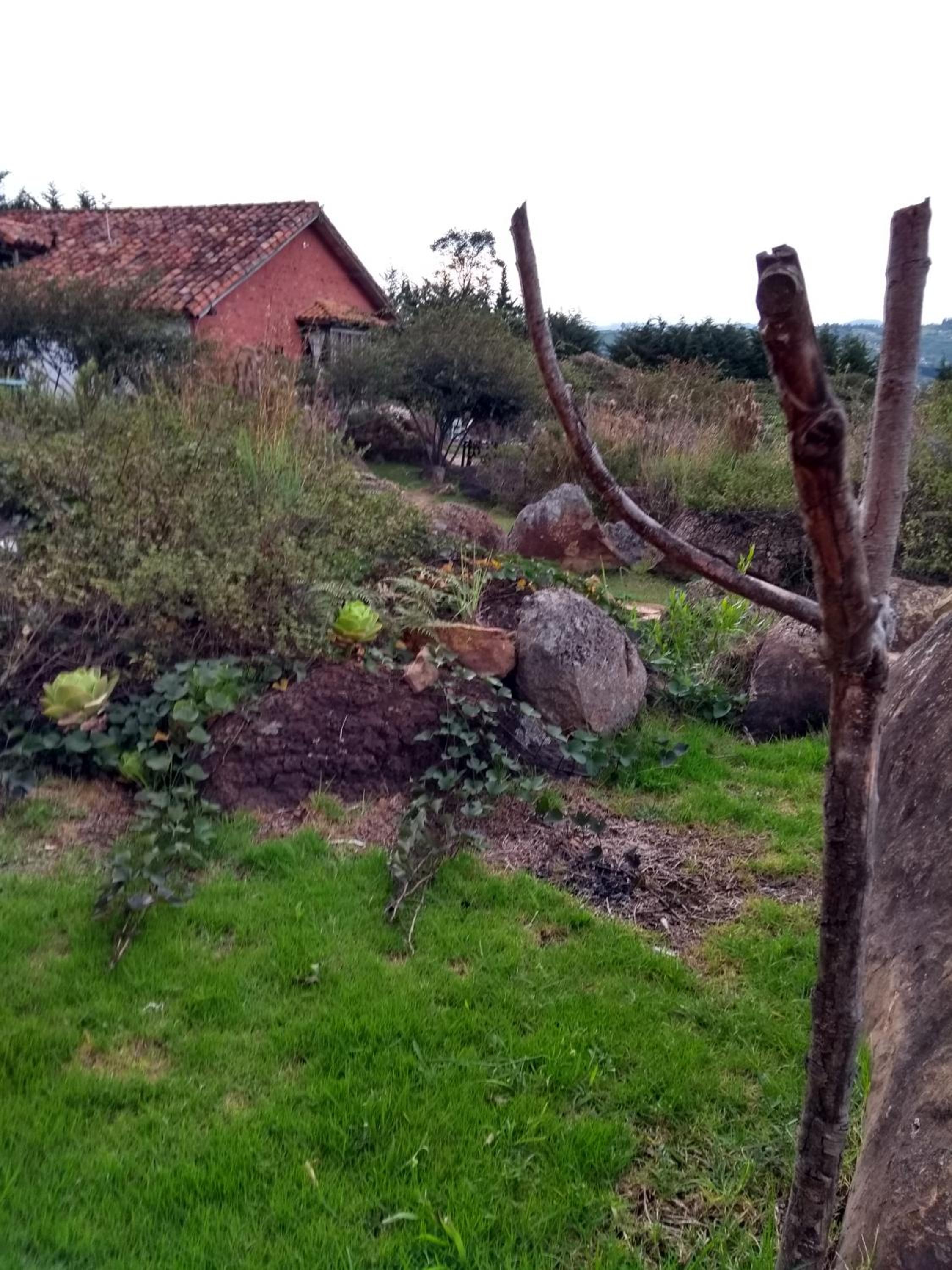 El Hayuelo Ecolodge