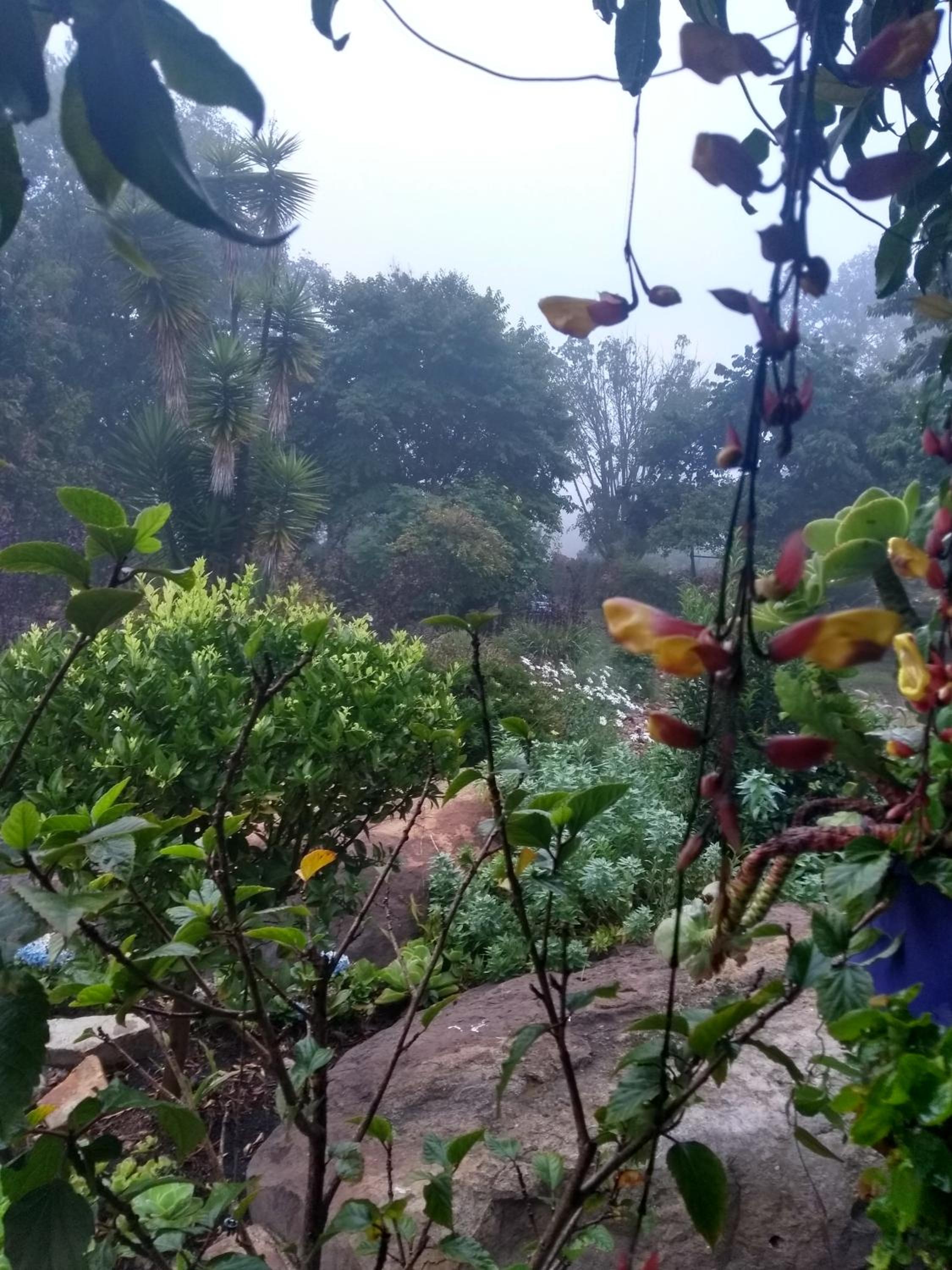 El Hayuelo Ecolodge