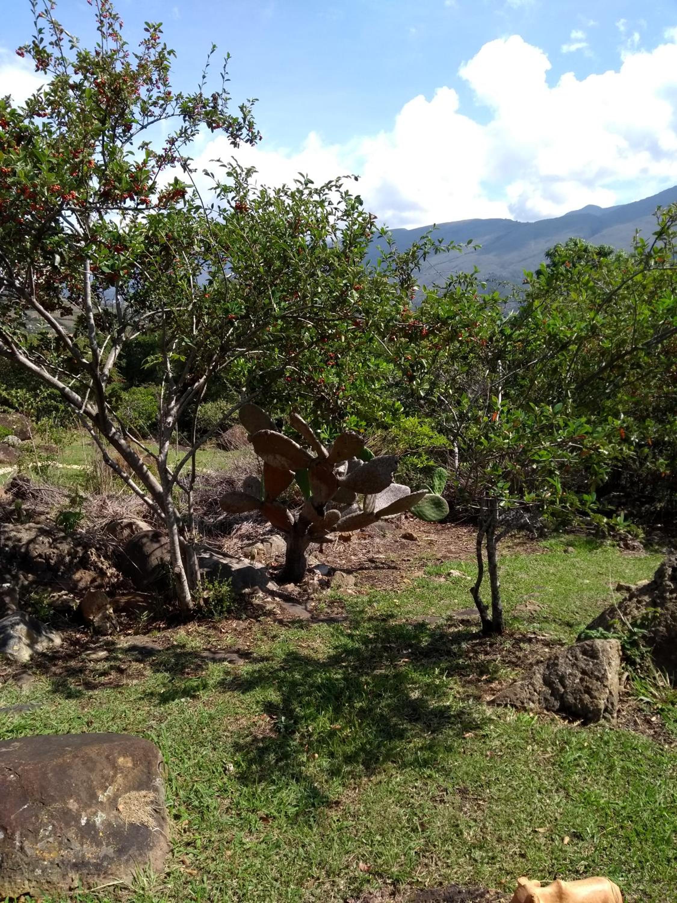 El Hayuelo Ecolodge