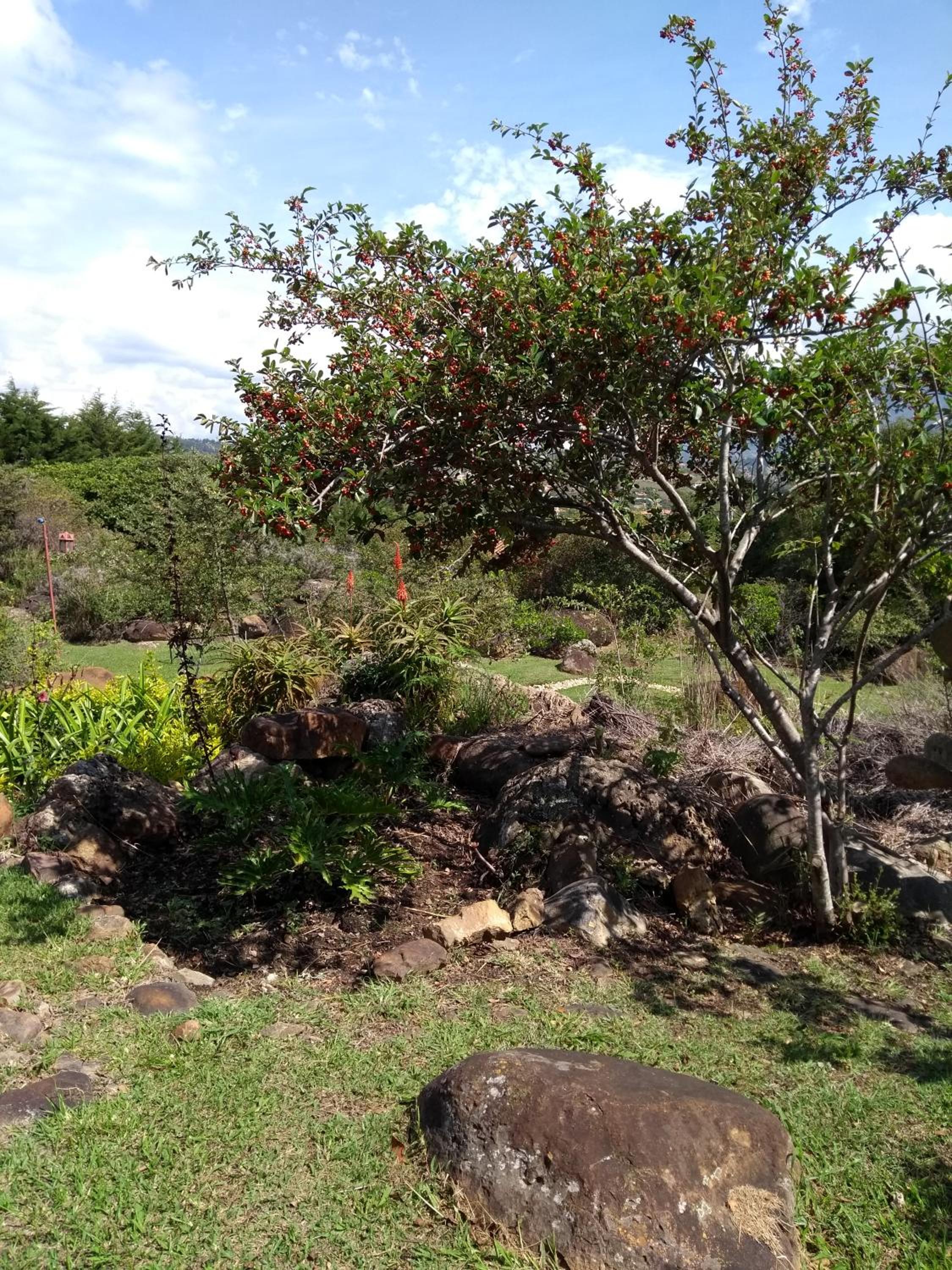 El Hayuelo Ecolodge