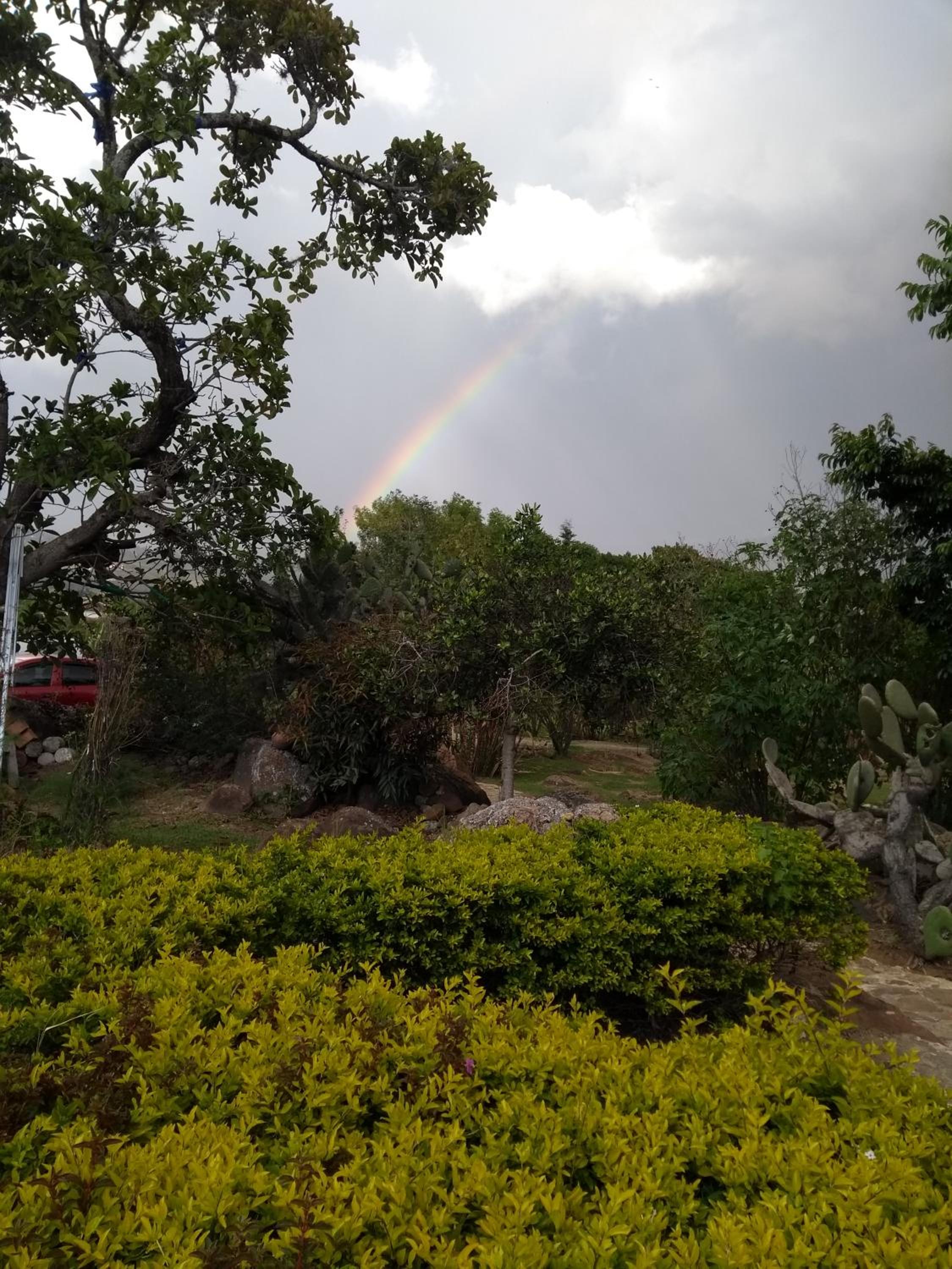 El Hayuelo Ecolodge