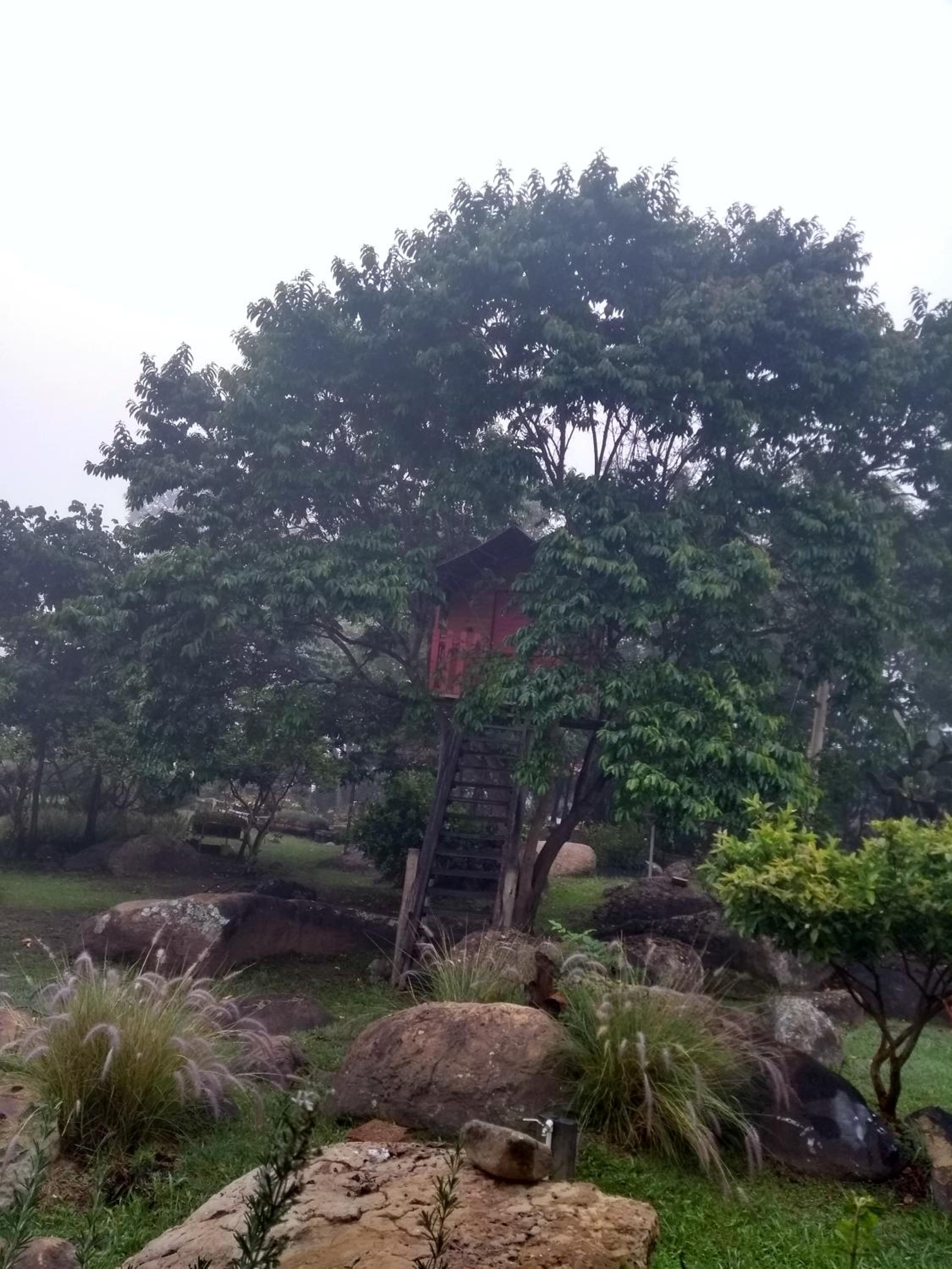 El Hayuelo Ecolodge