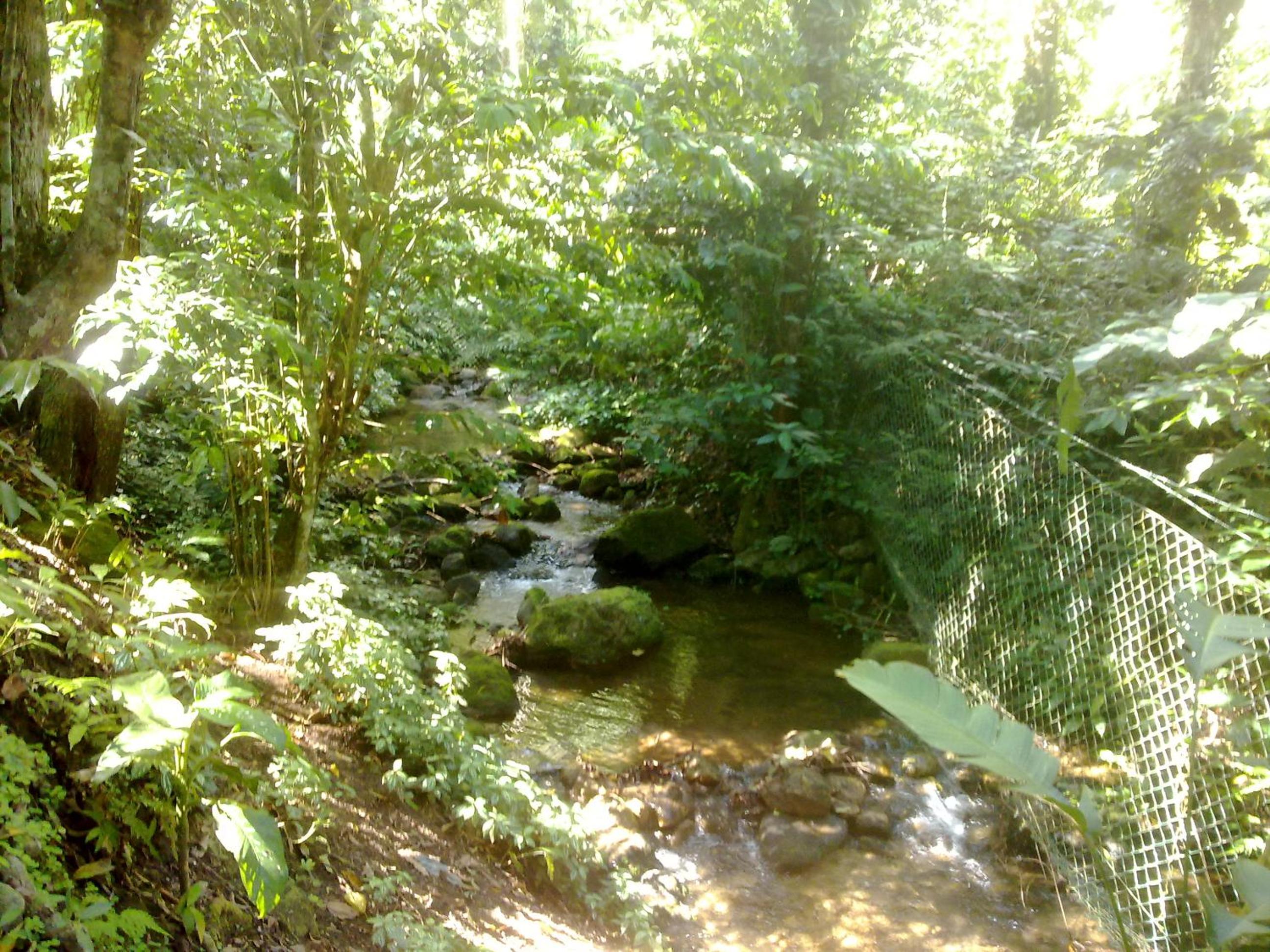 Maresias Home
