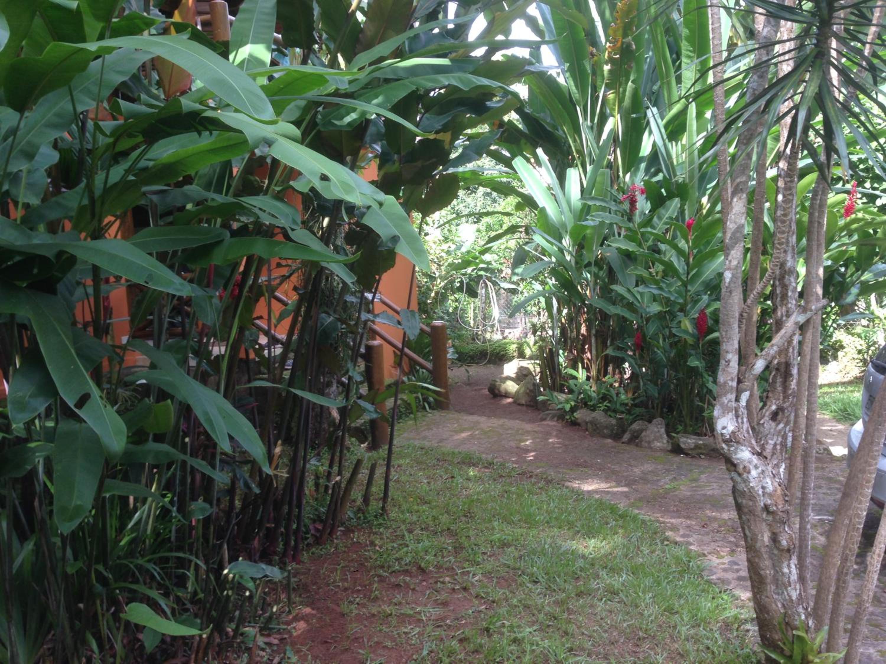 Maresias Home