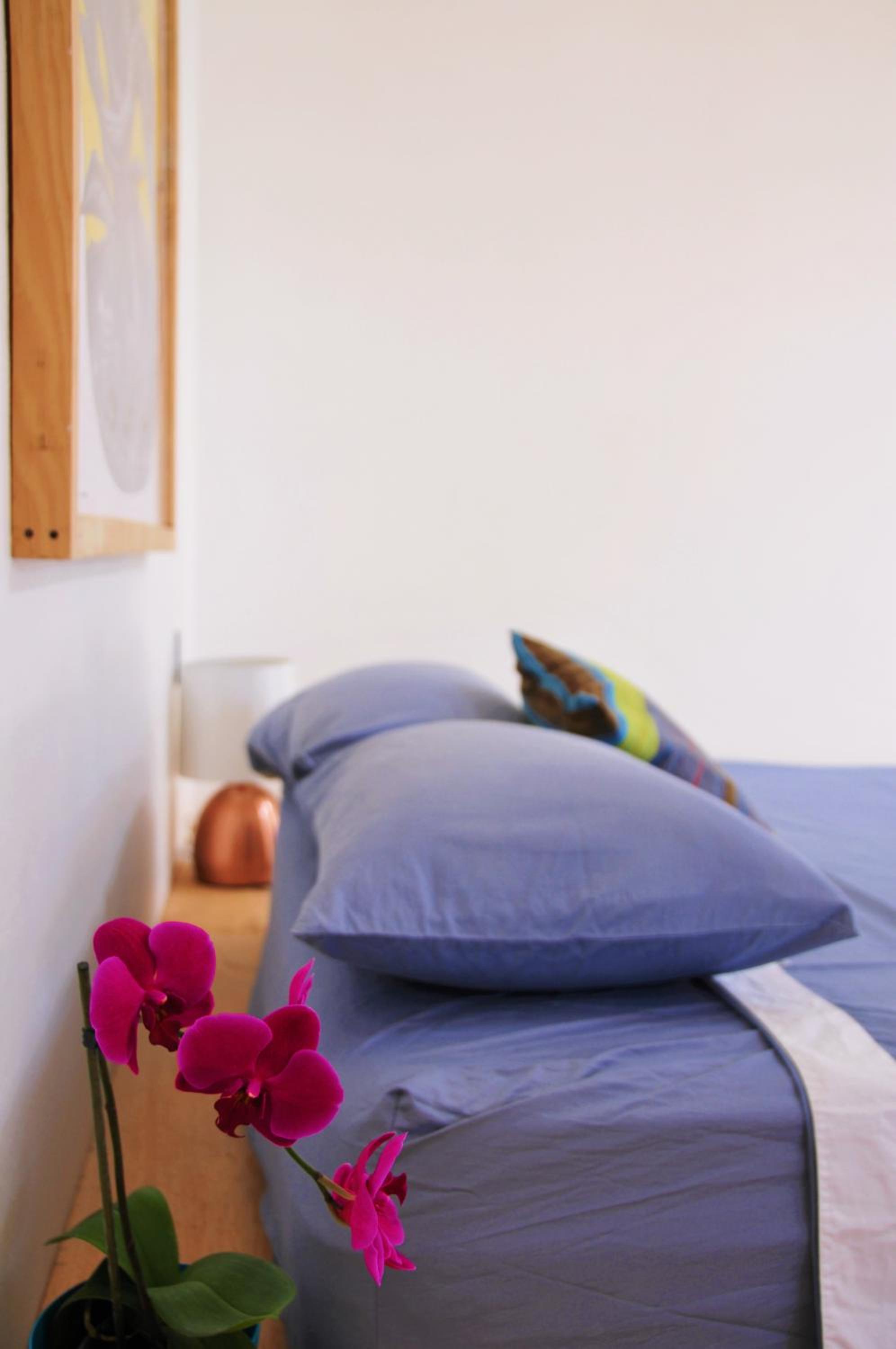 Azul Cielo Hostel, photo 96