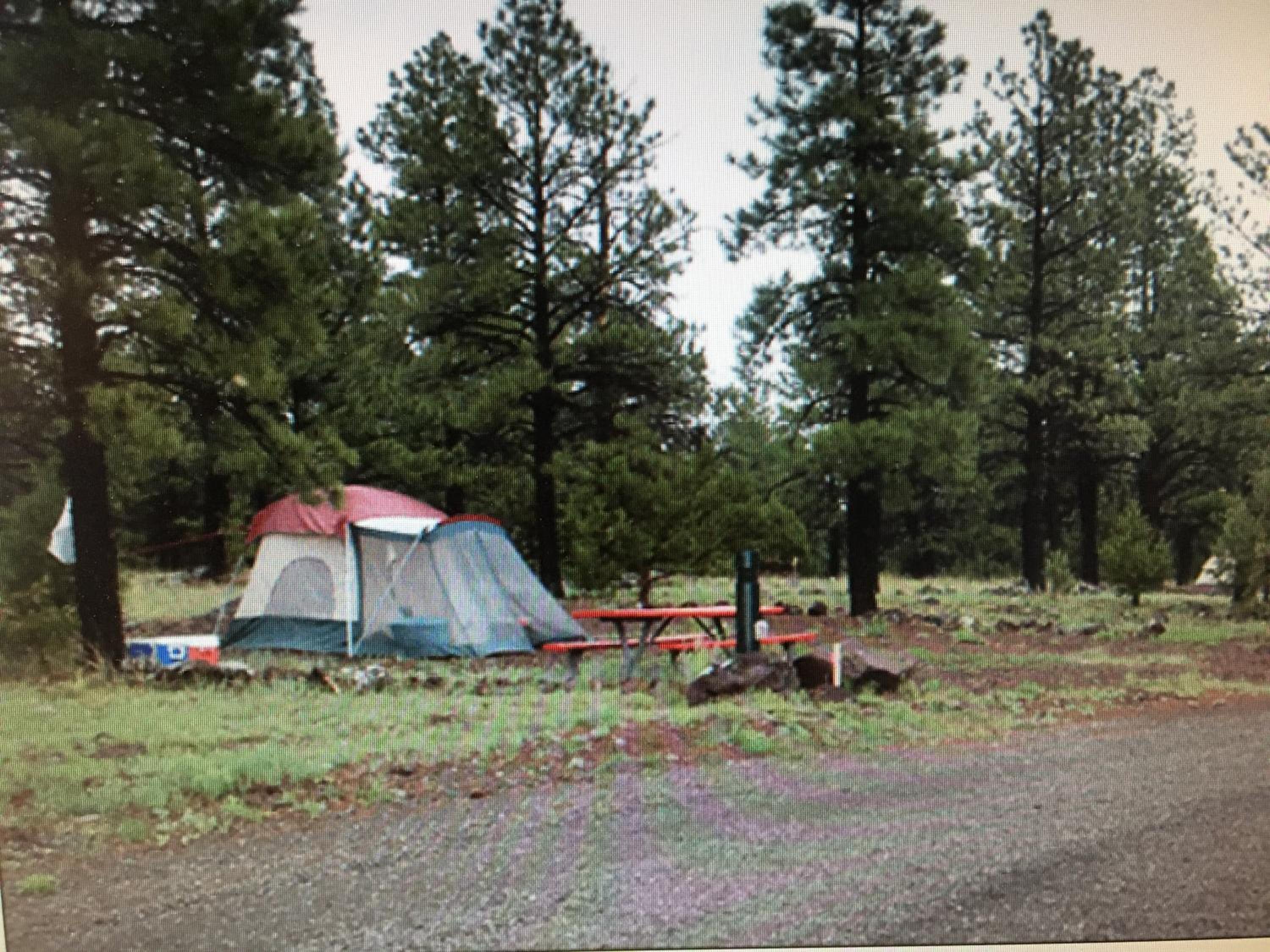 The Canyon Motel & RV Park
