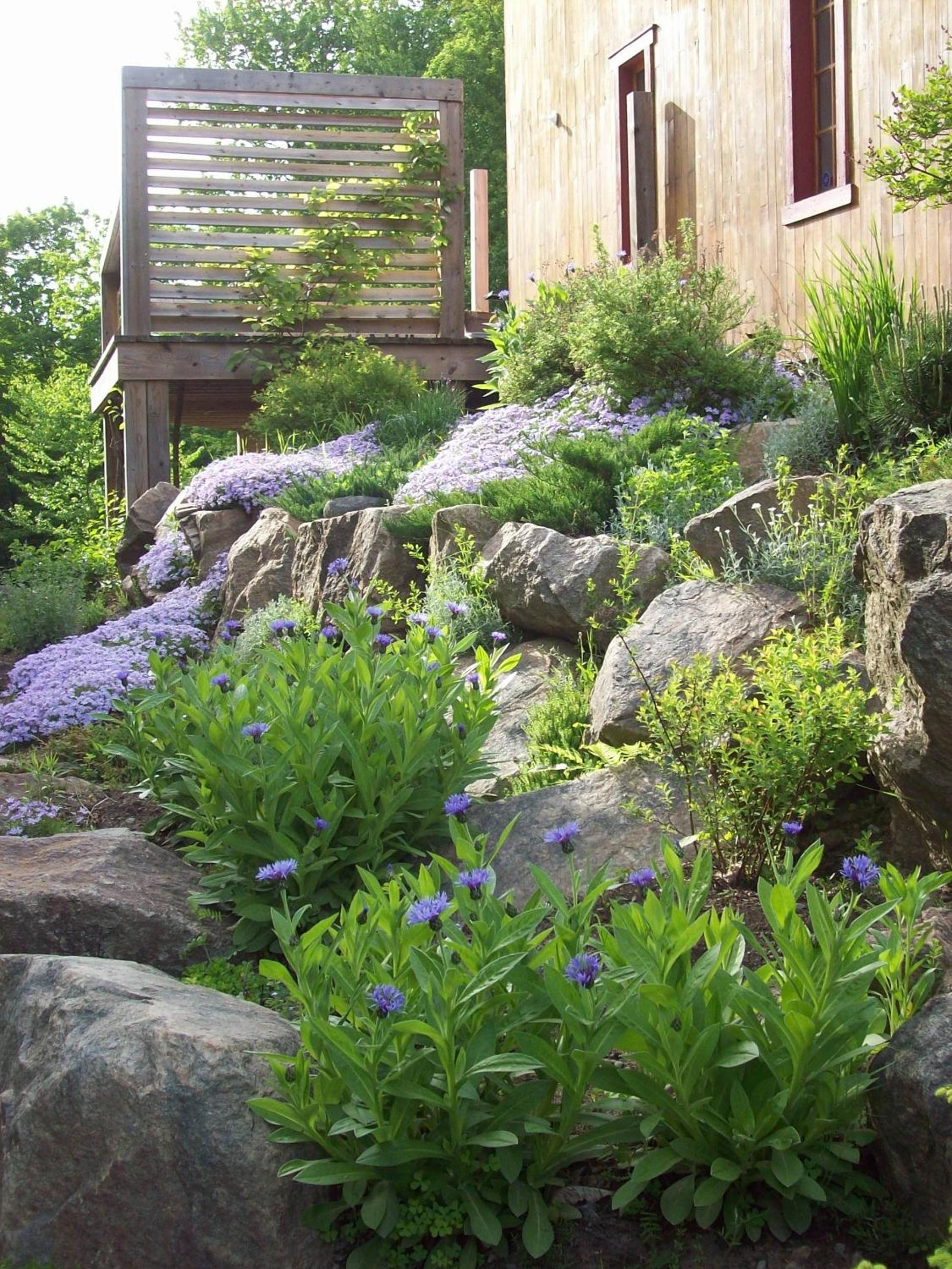 Cottage Jacques Cartier