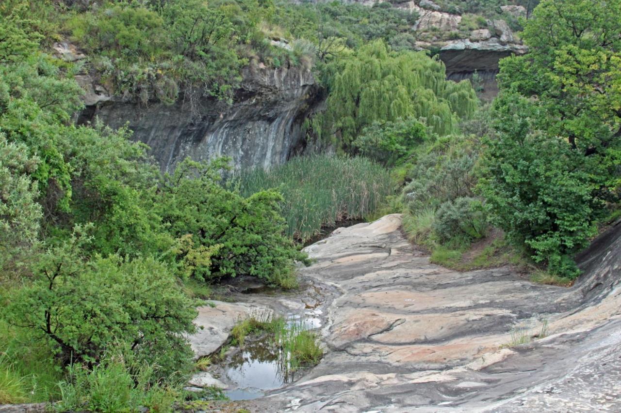Photo 27