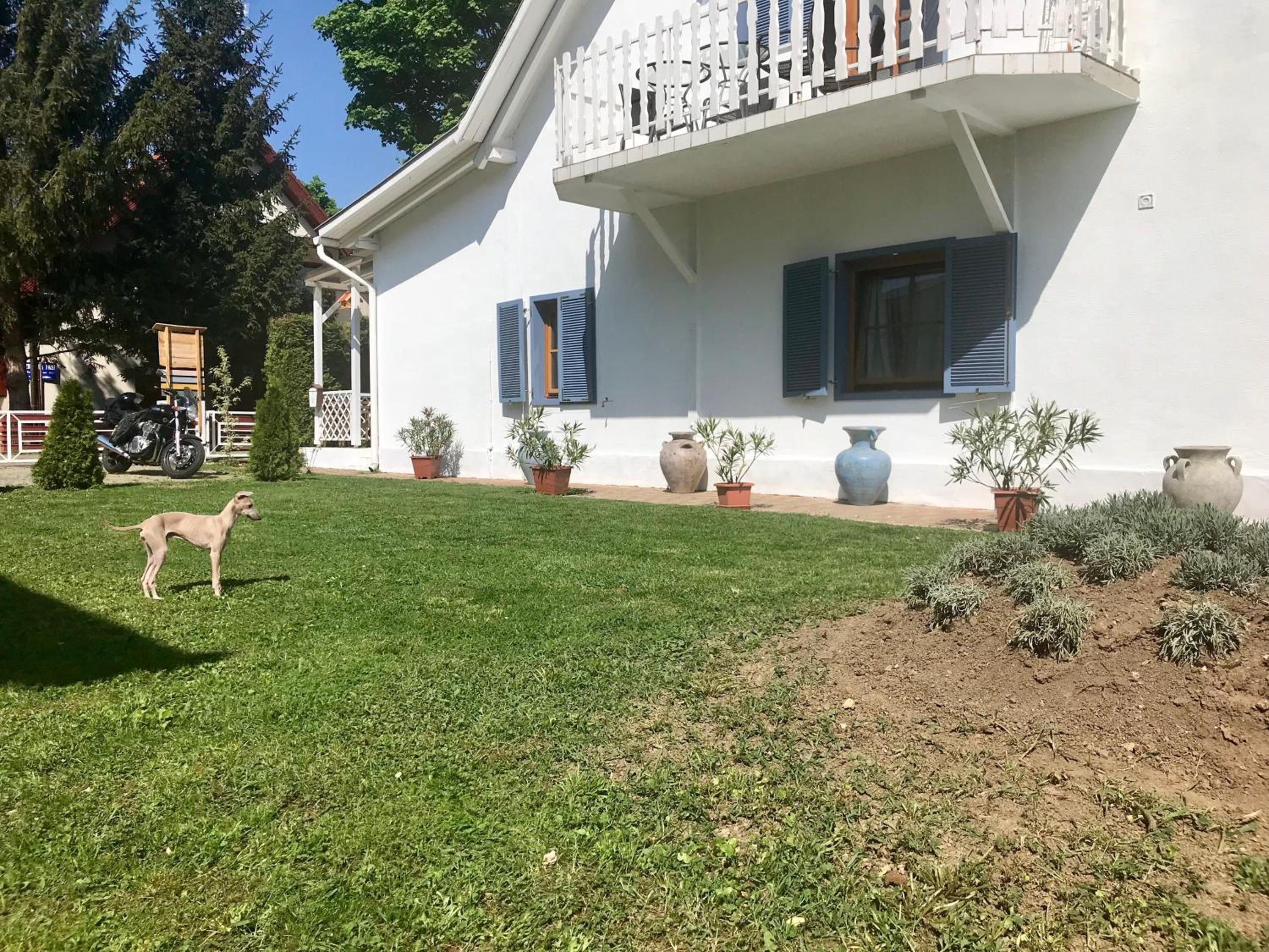 Photo 26