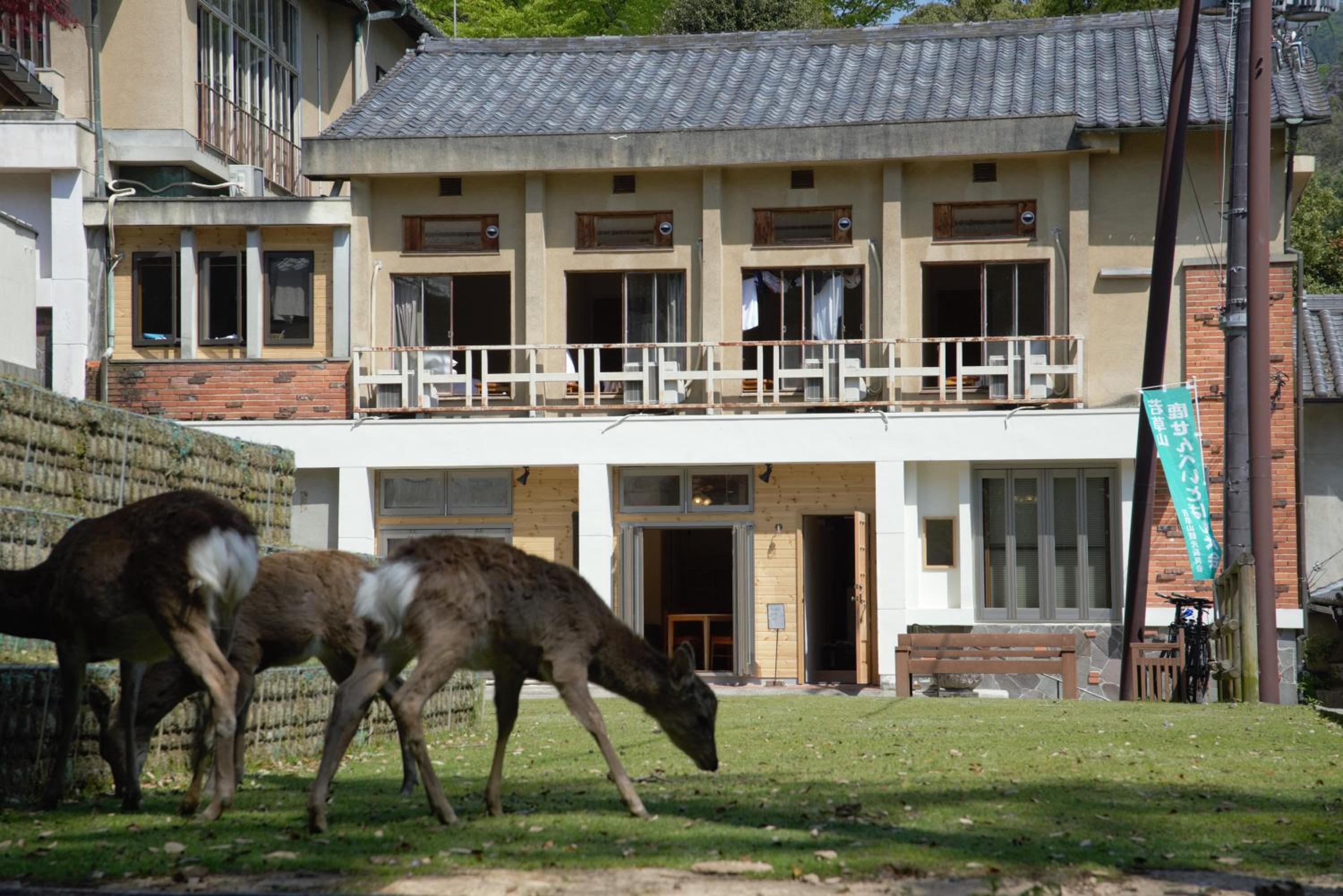 Mountain Home Lodge in Deer Park view 5