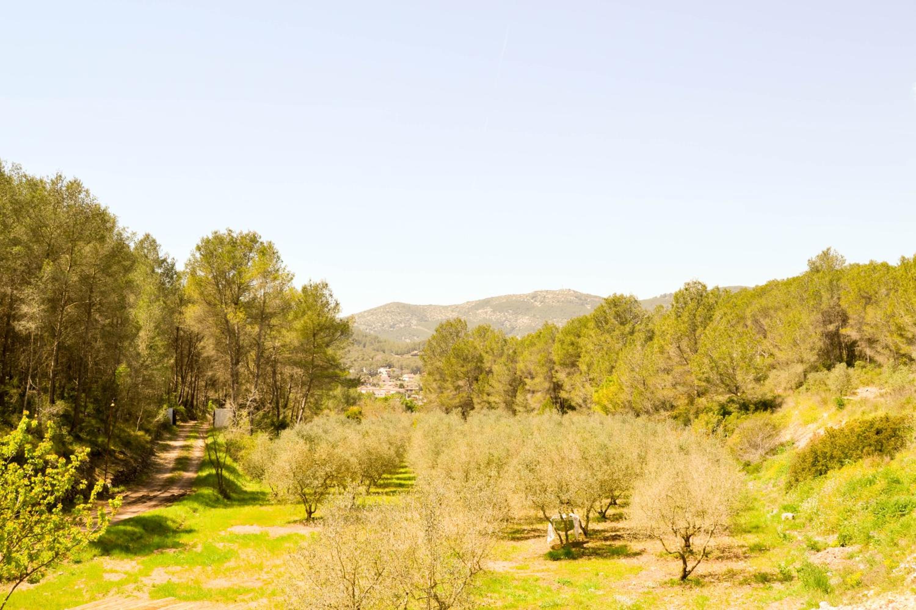 Masía Les Pasoles
