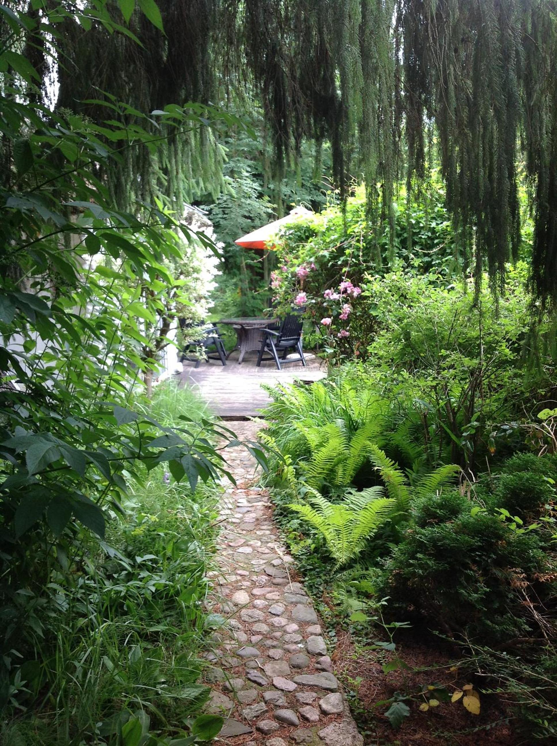 Photo 8
