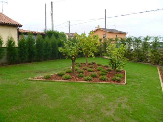 Raitana photo 5