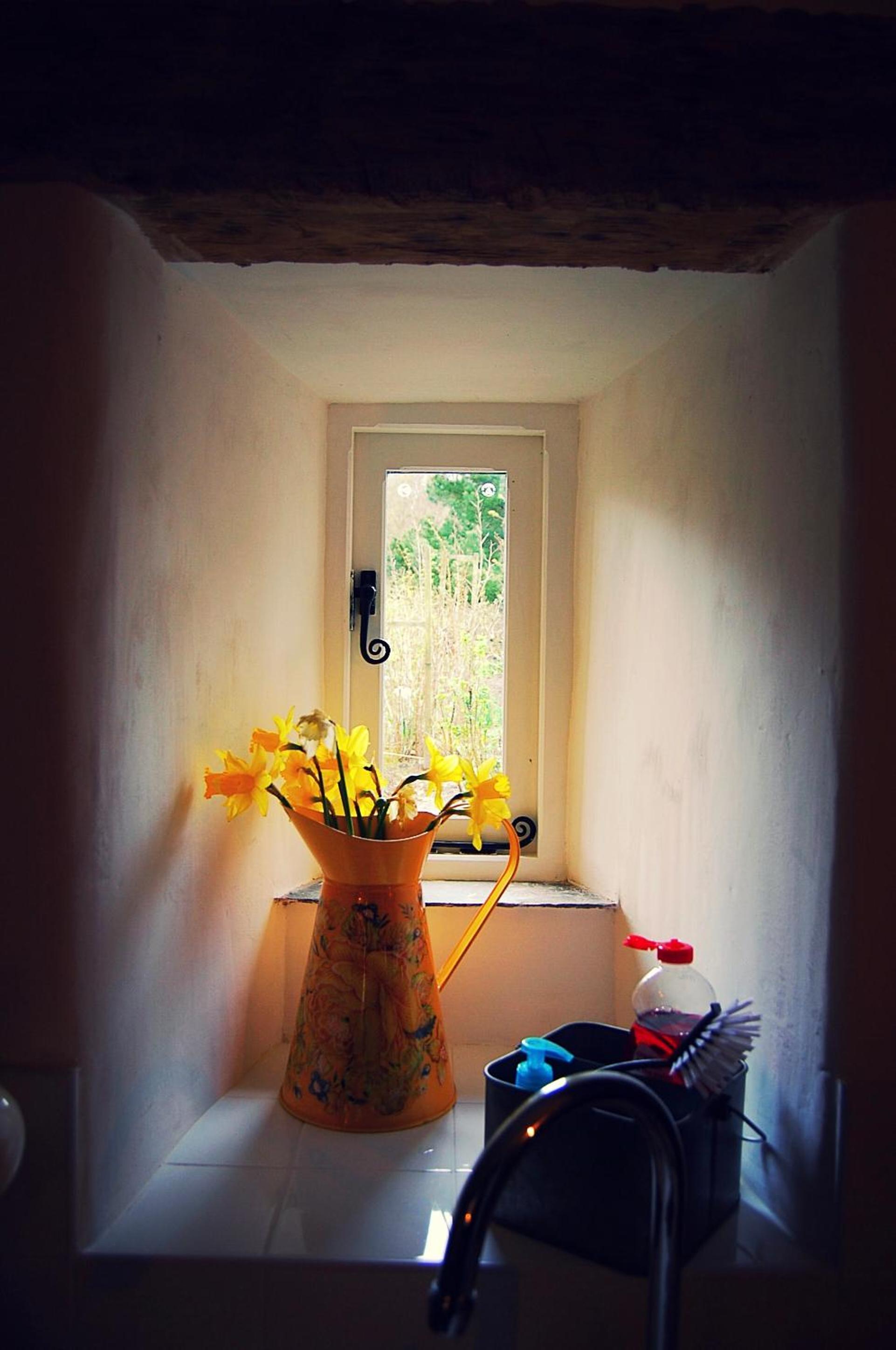 Photo 33