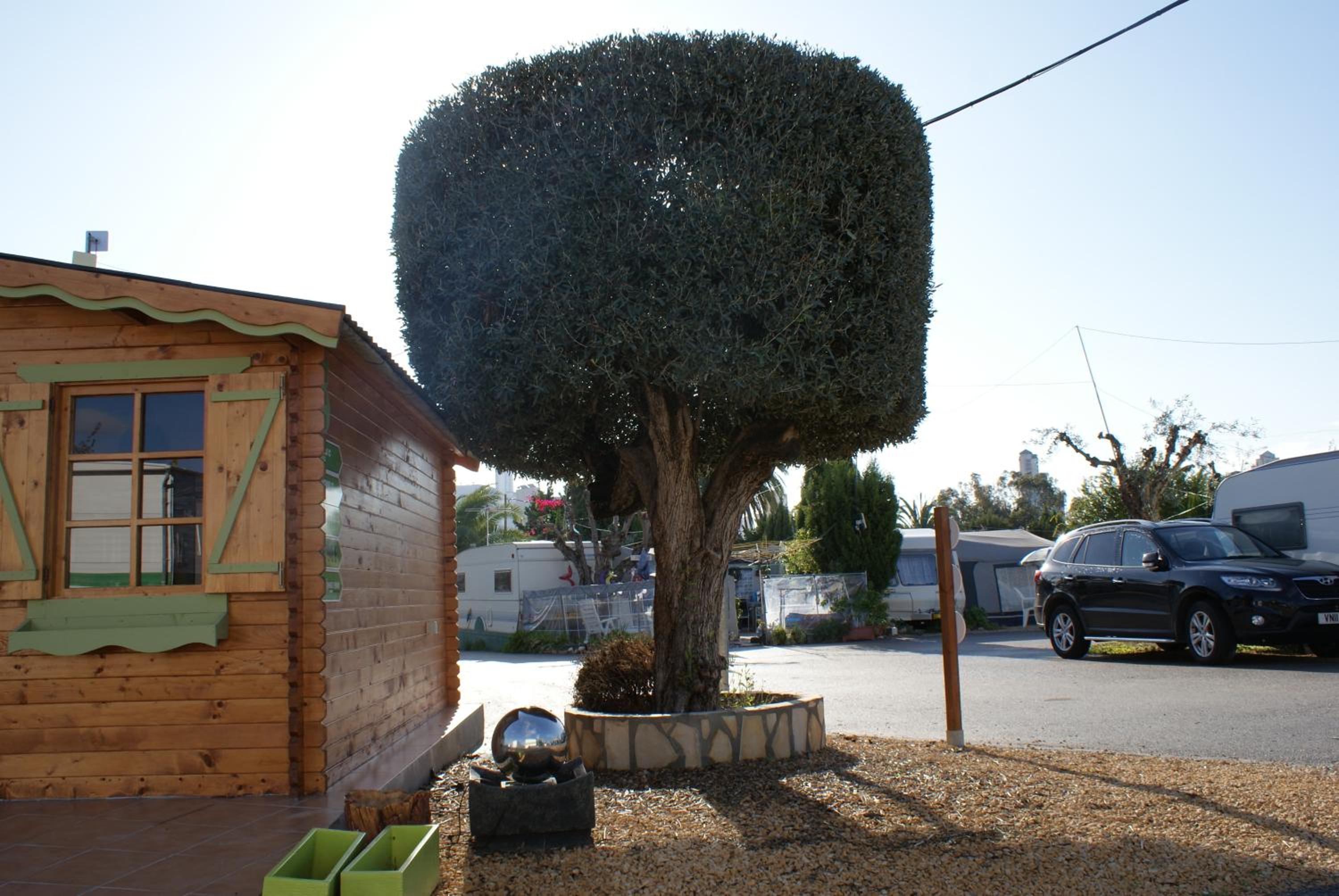 Photo 30