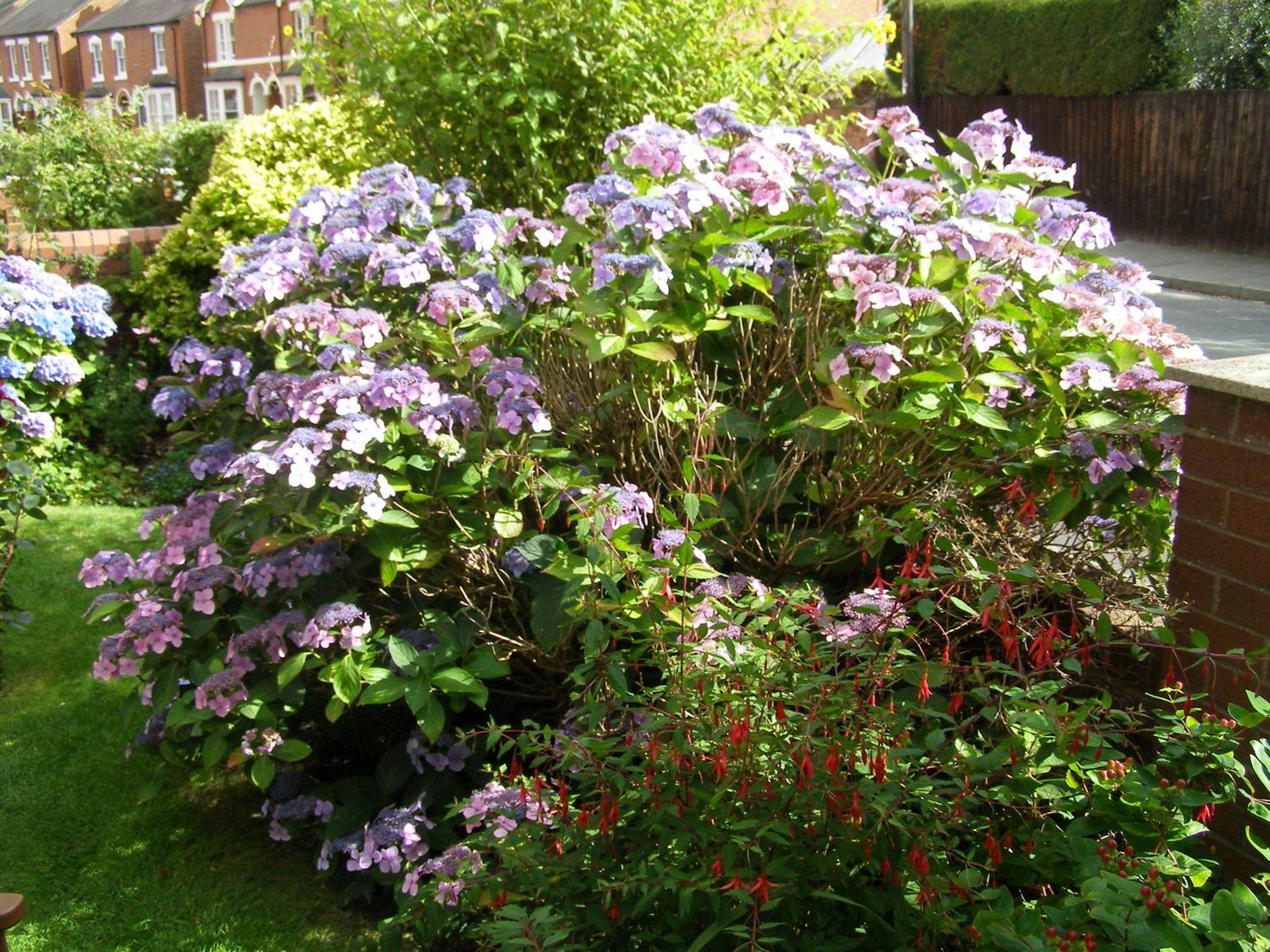 Photo 17