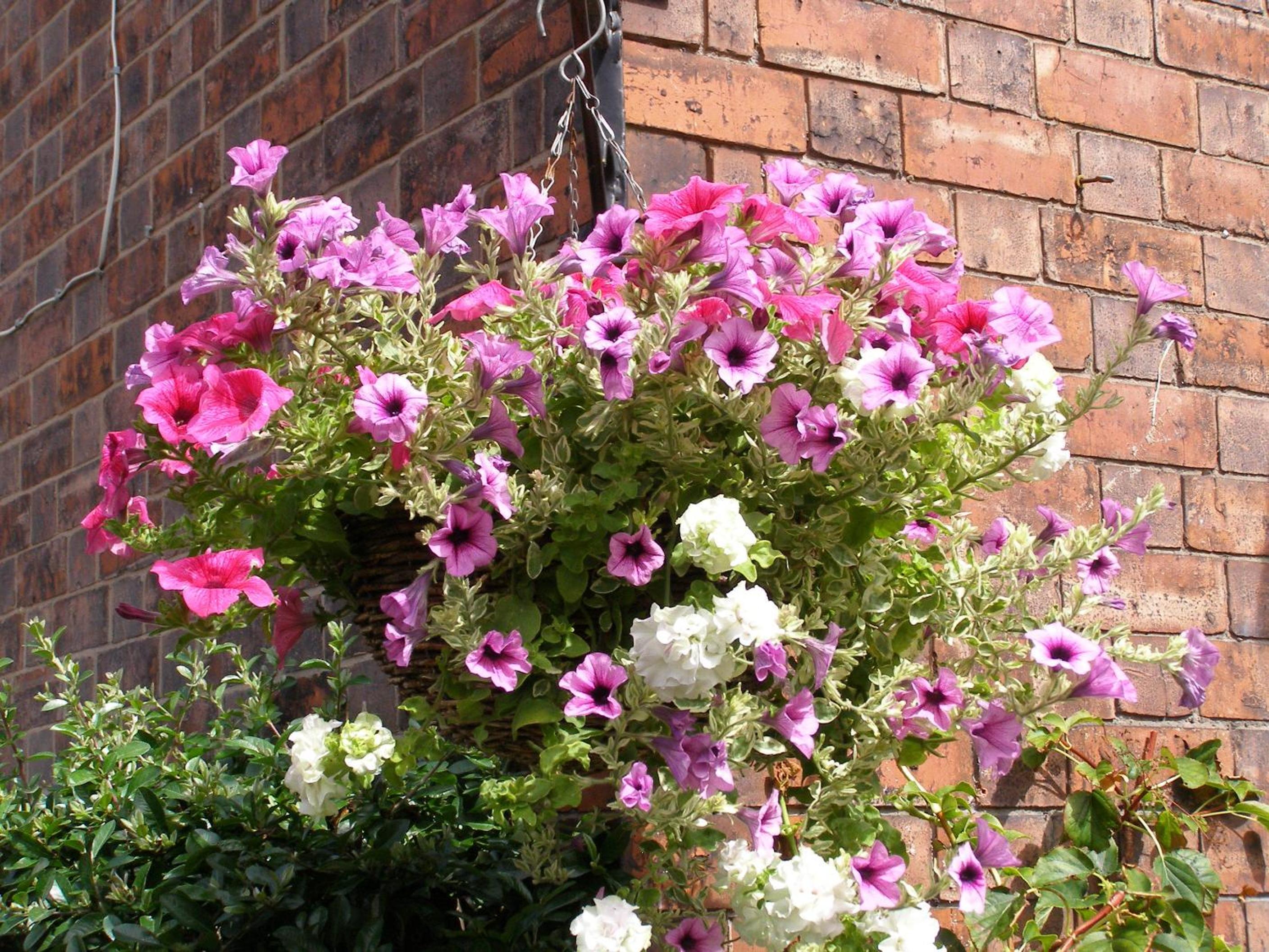 Photo 22