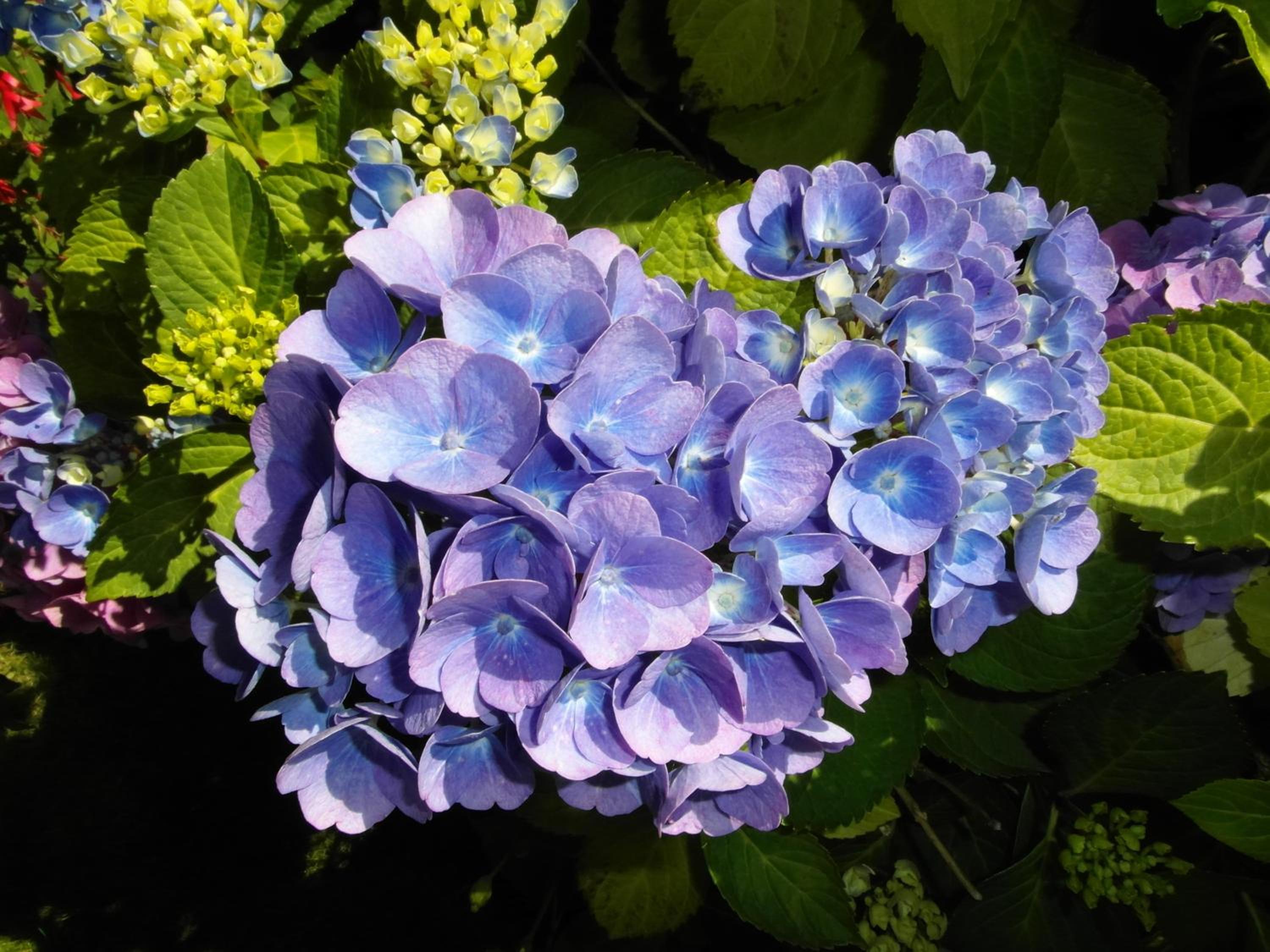 Photo 37