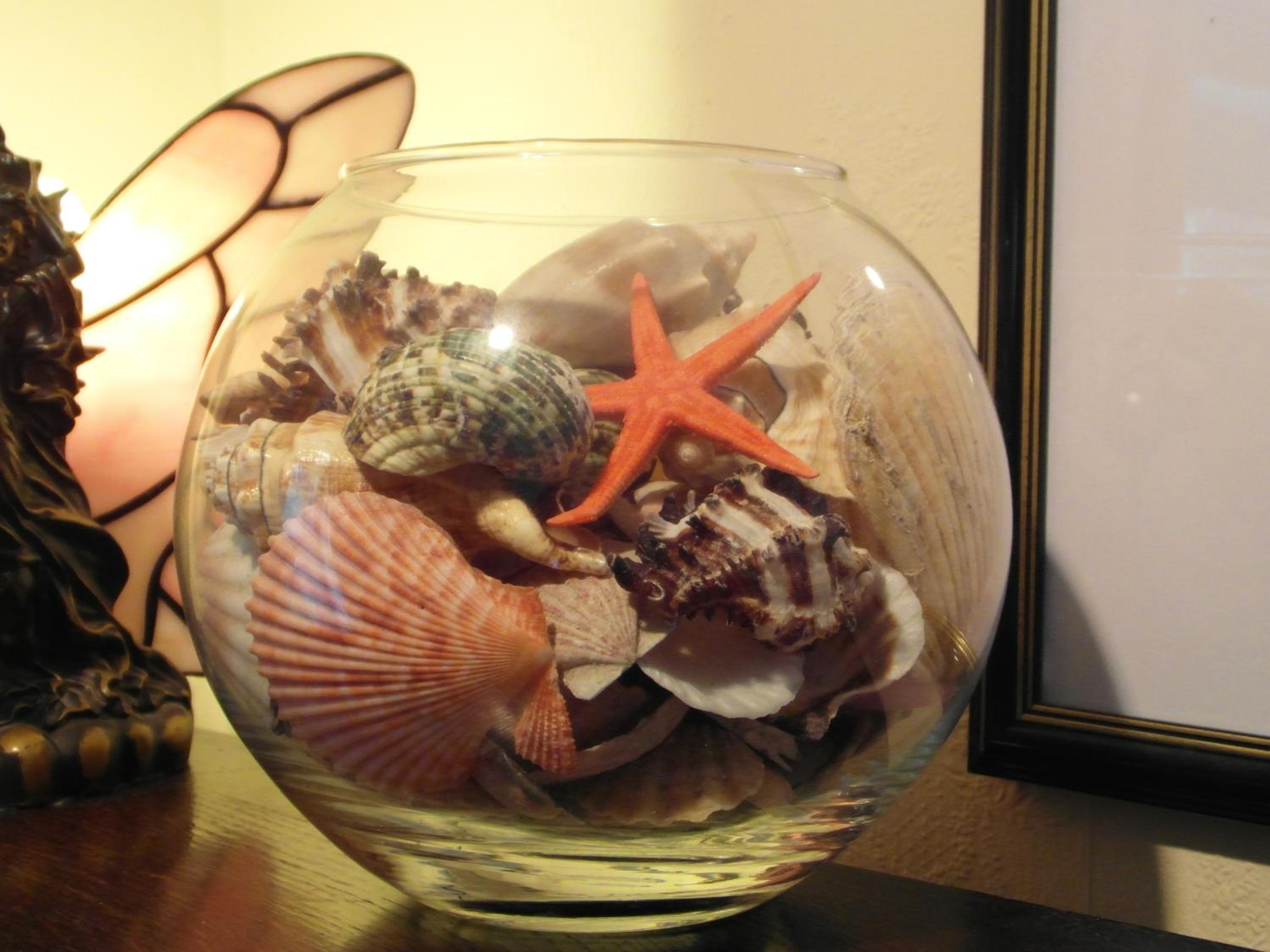Photo 42