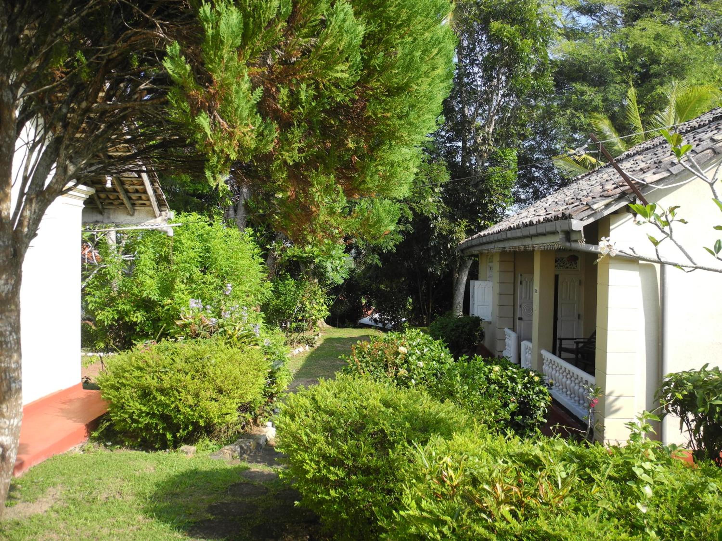 Photo 31
