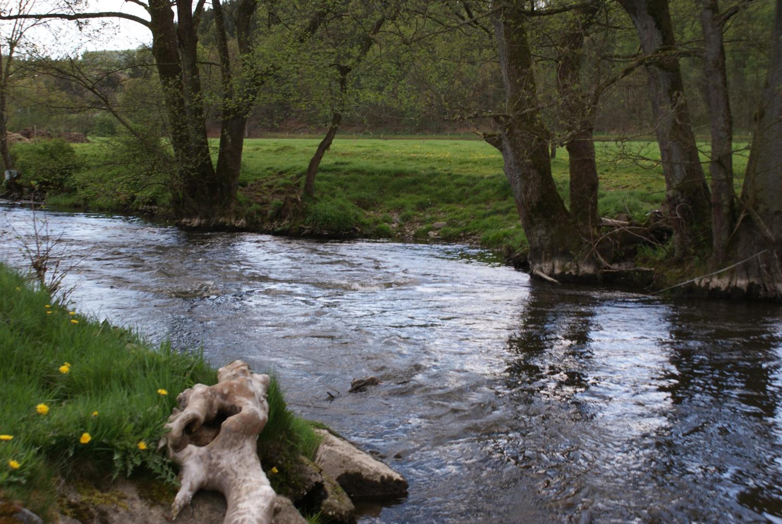 Le gîte de l Ourthe