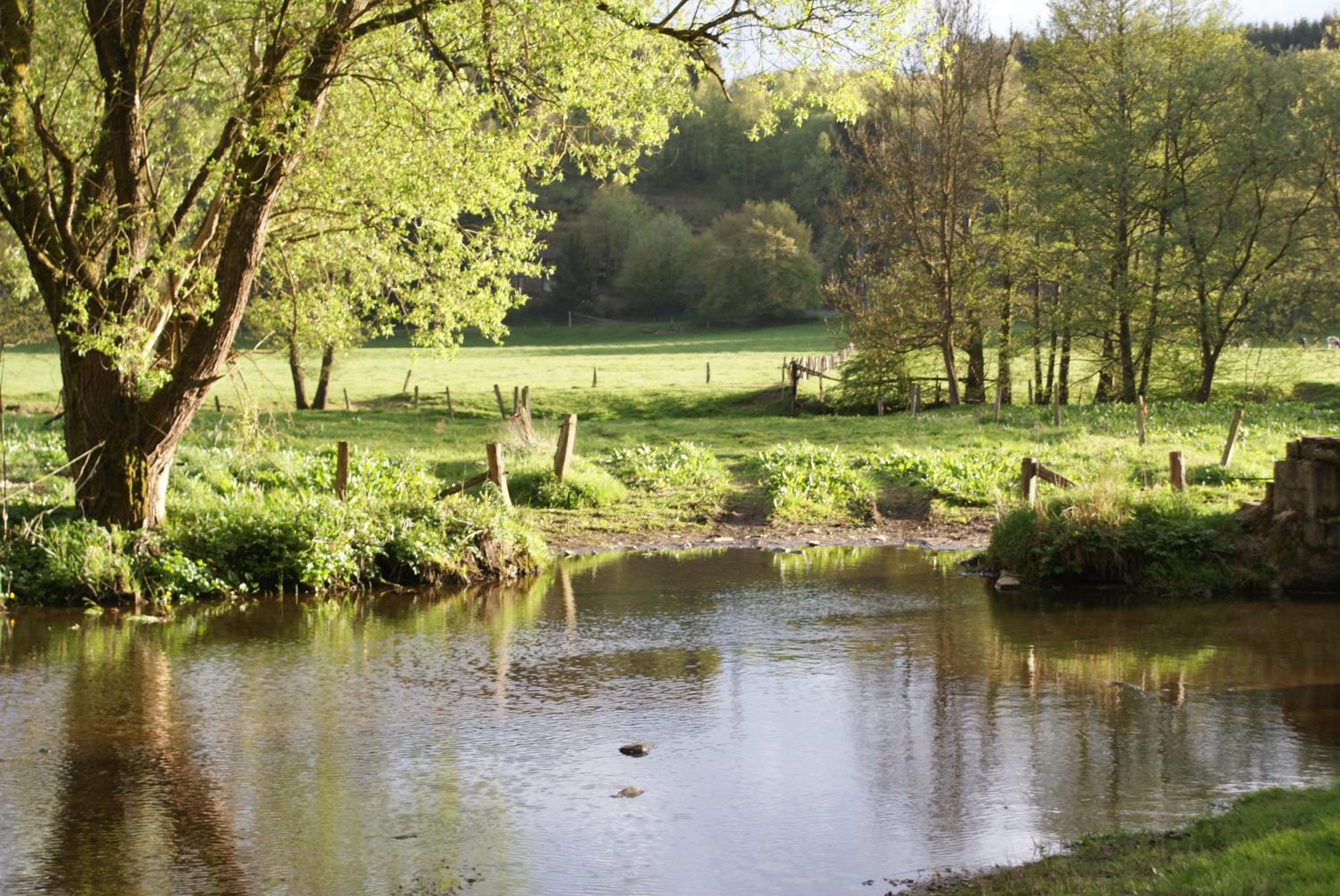 Le gîte de l Ourthe