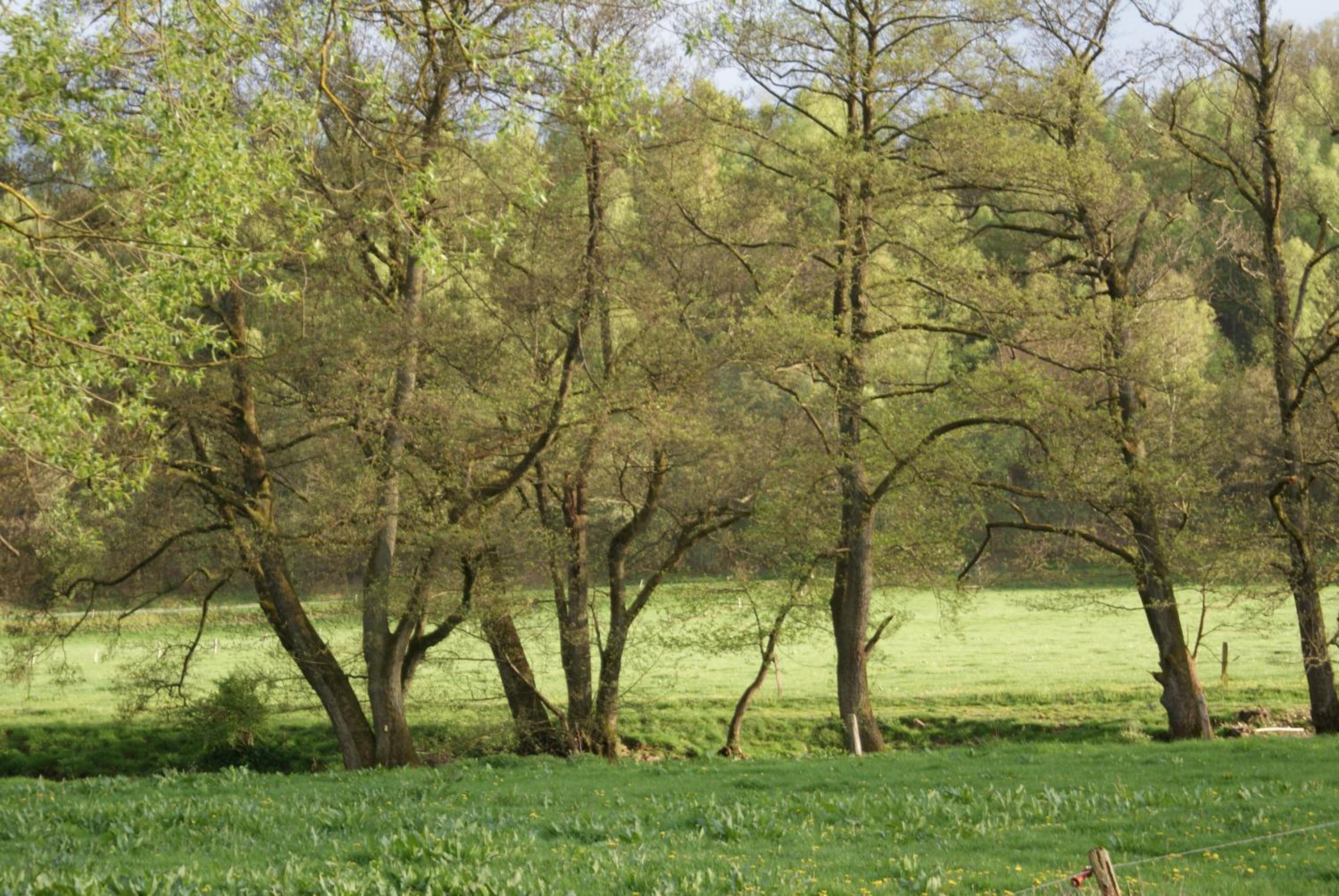 Le gîte de l Ourthe