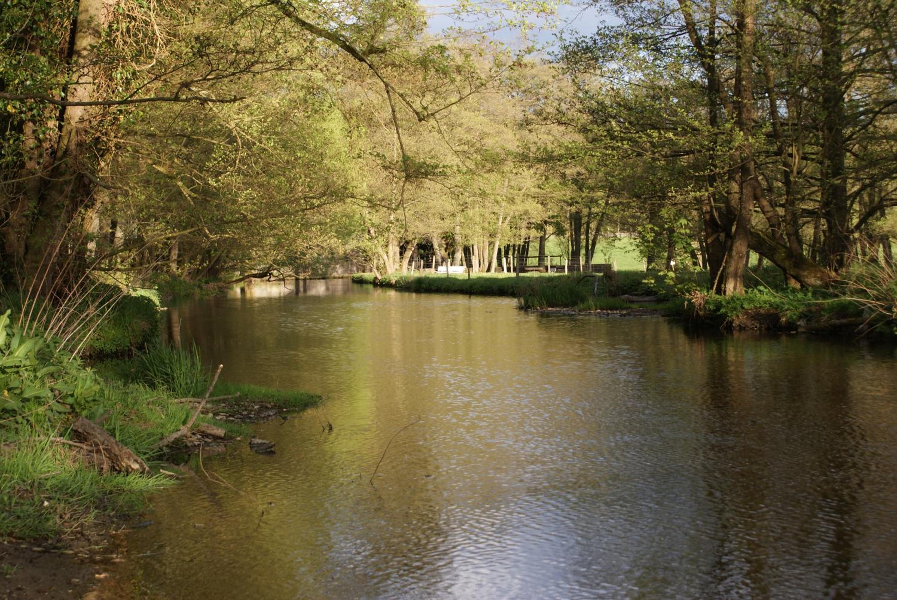 Le gîte de l Ourthe