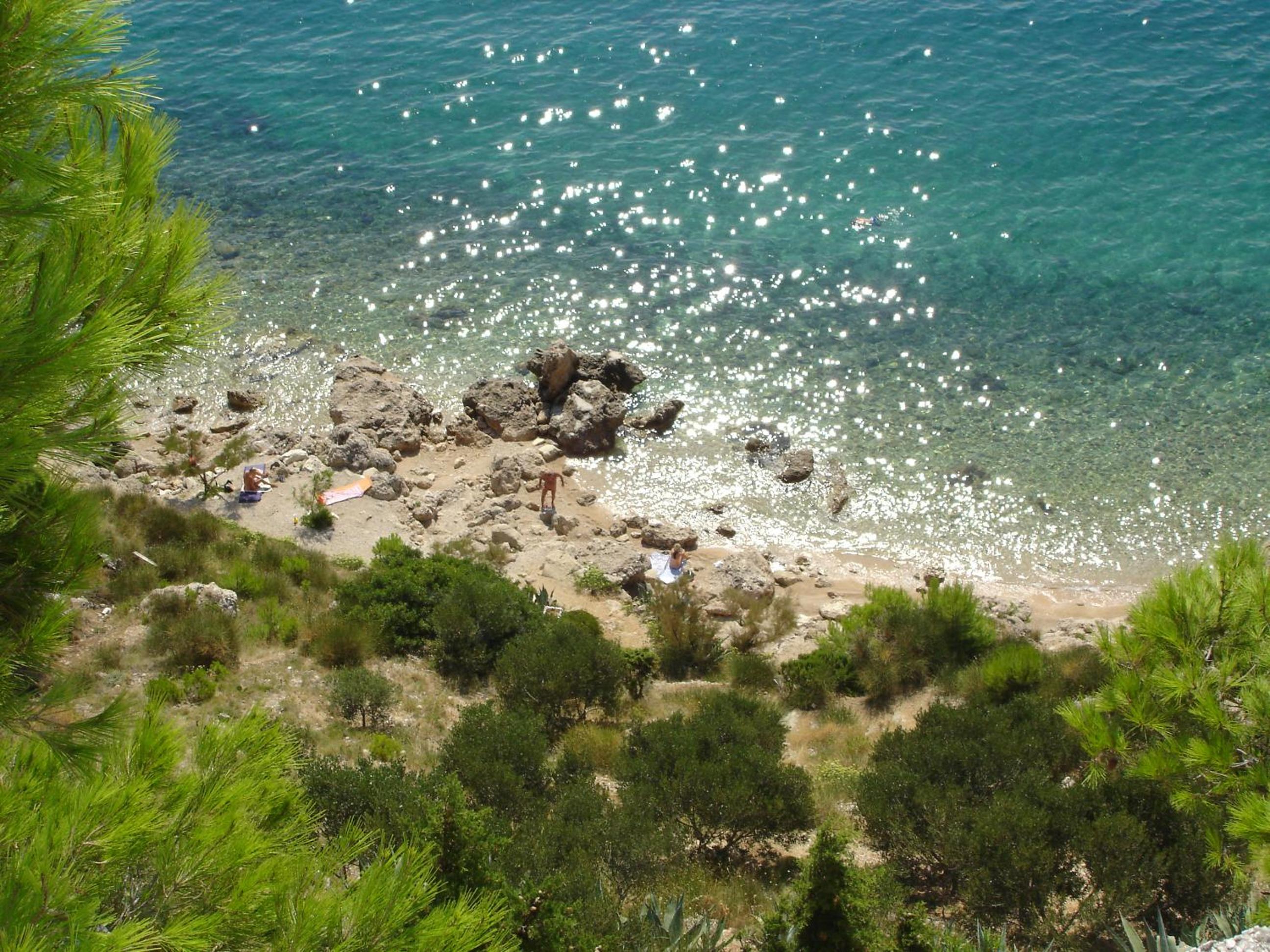 Photo 41