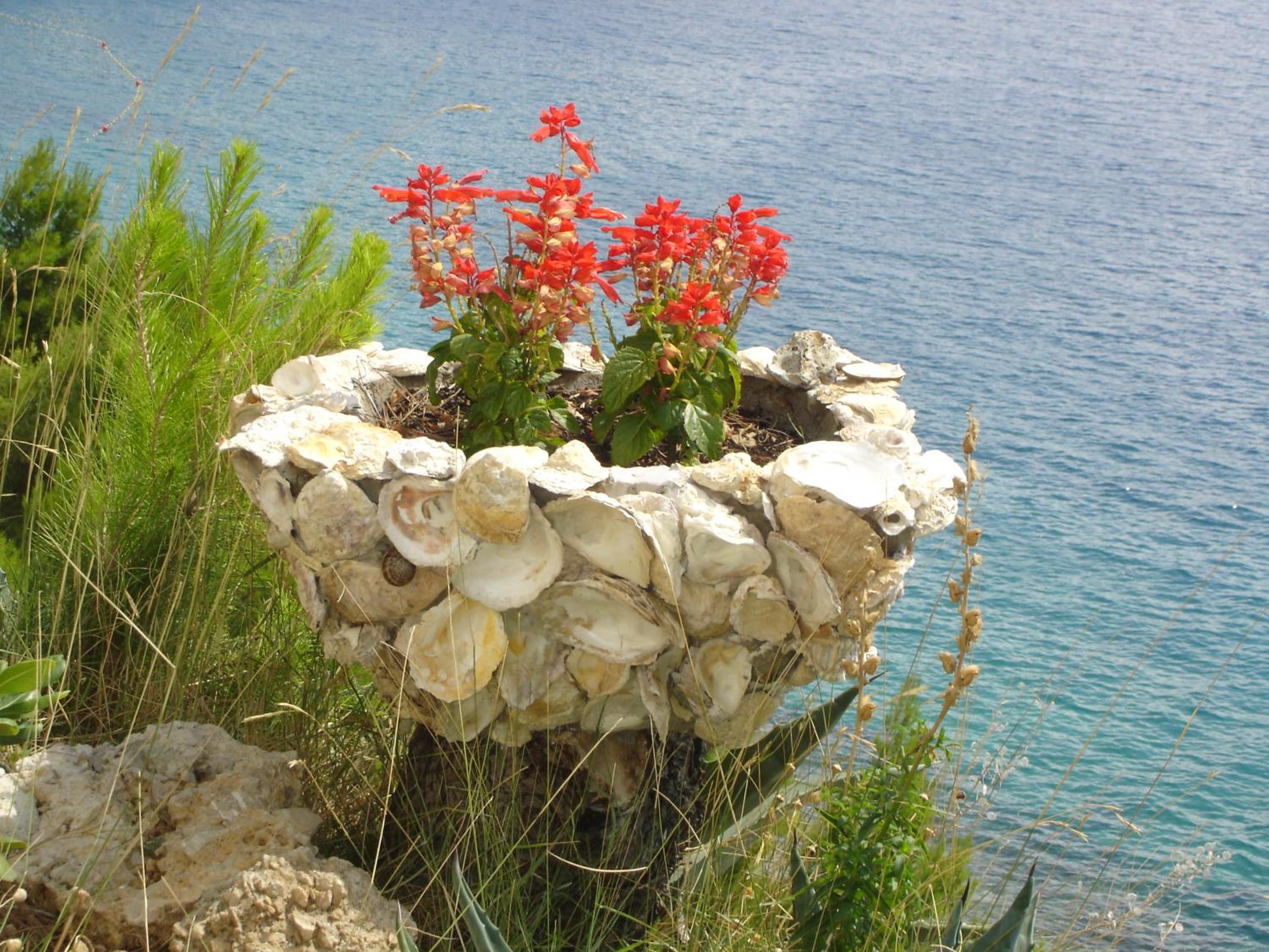 Photo 44