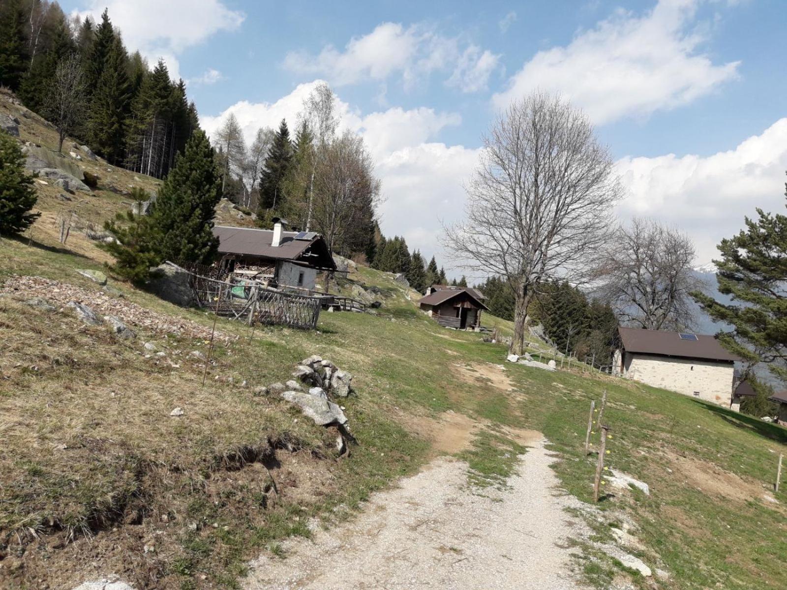 Photo 30