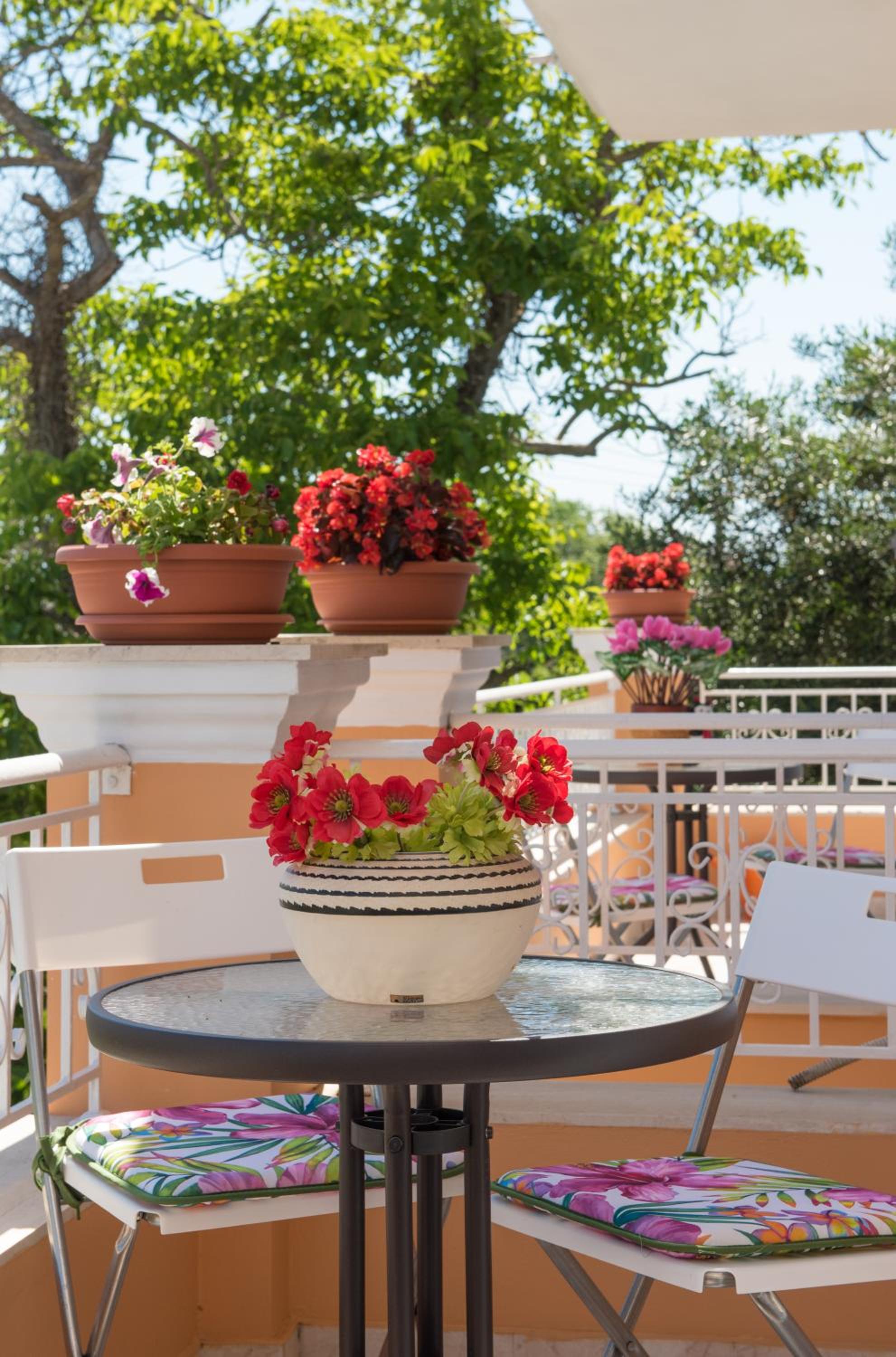 balance & terrace
