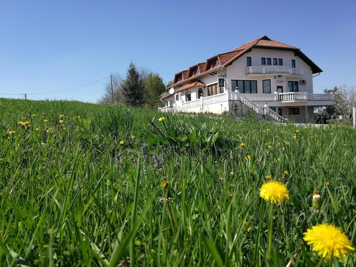 Hotel Kavana i sobe Monika - Image 1