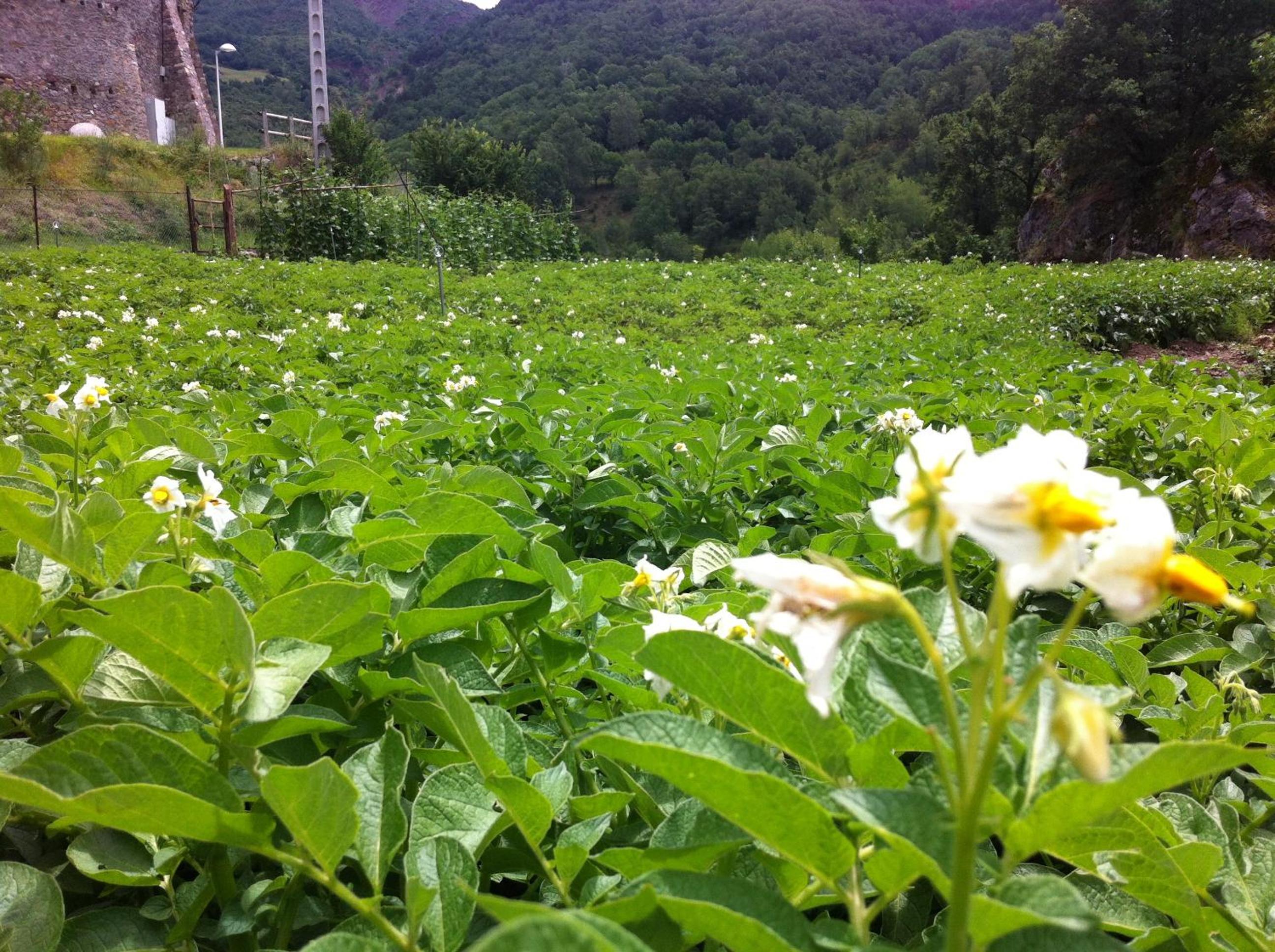 Photo 22