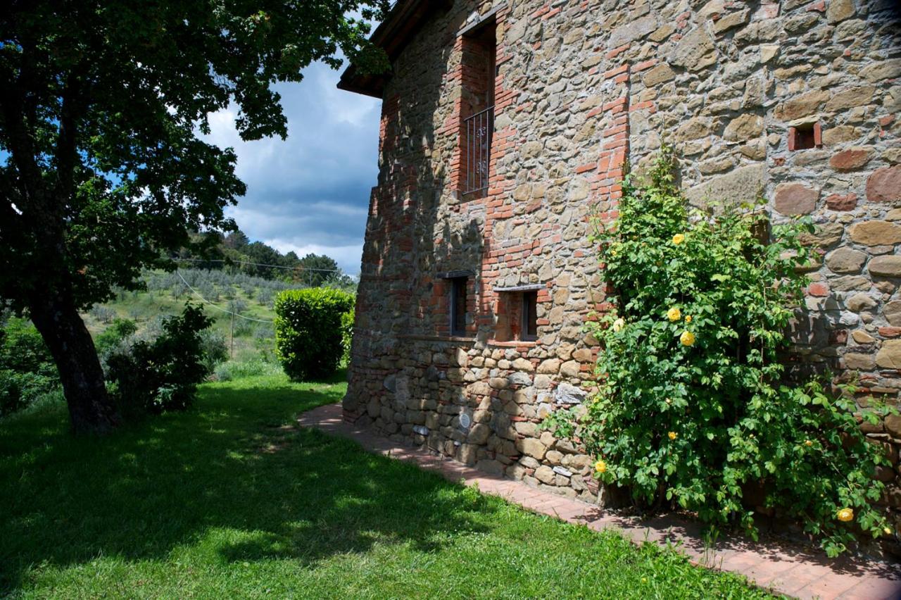 Ventena Vecchia antico frantoio