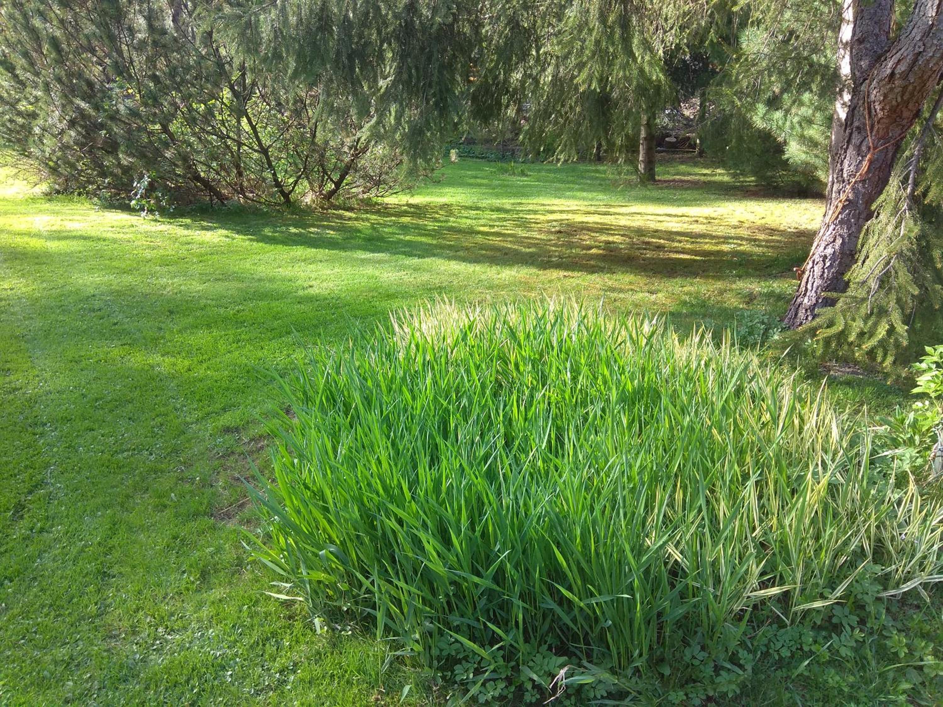 Photo 61
