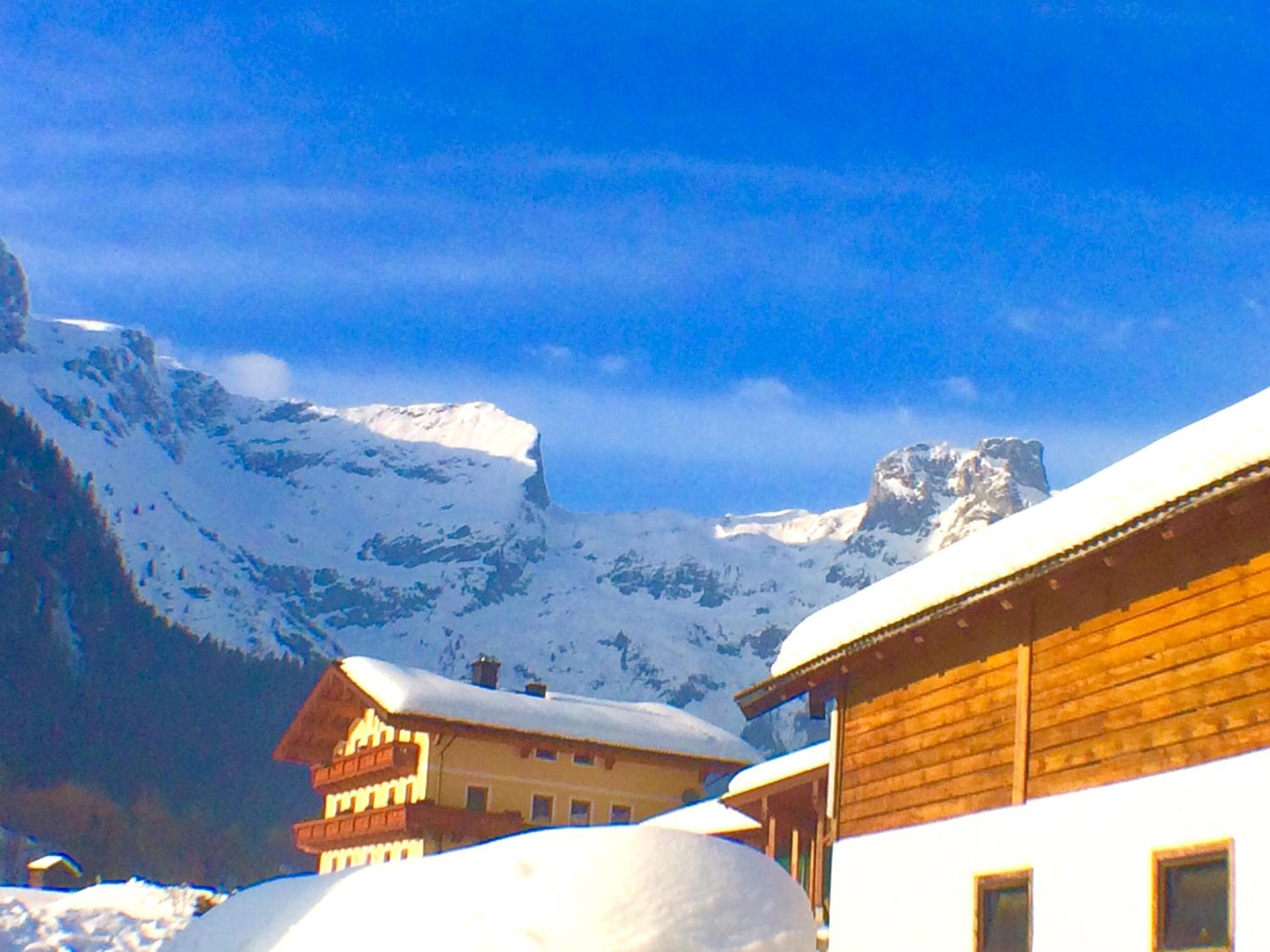 Alpen Appartements Oberlehengut - keine Haustiere - allergikerfreundlich