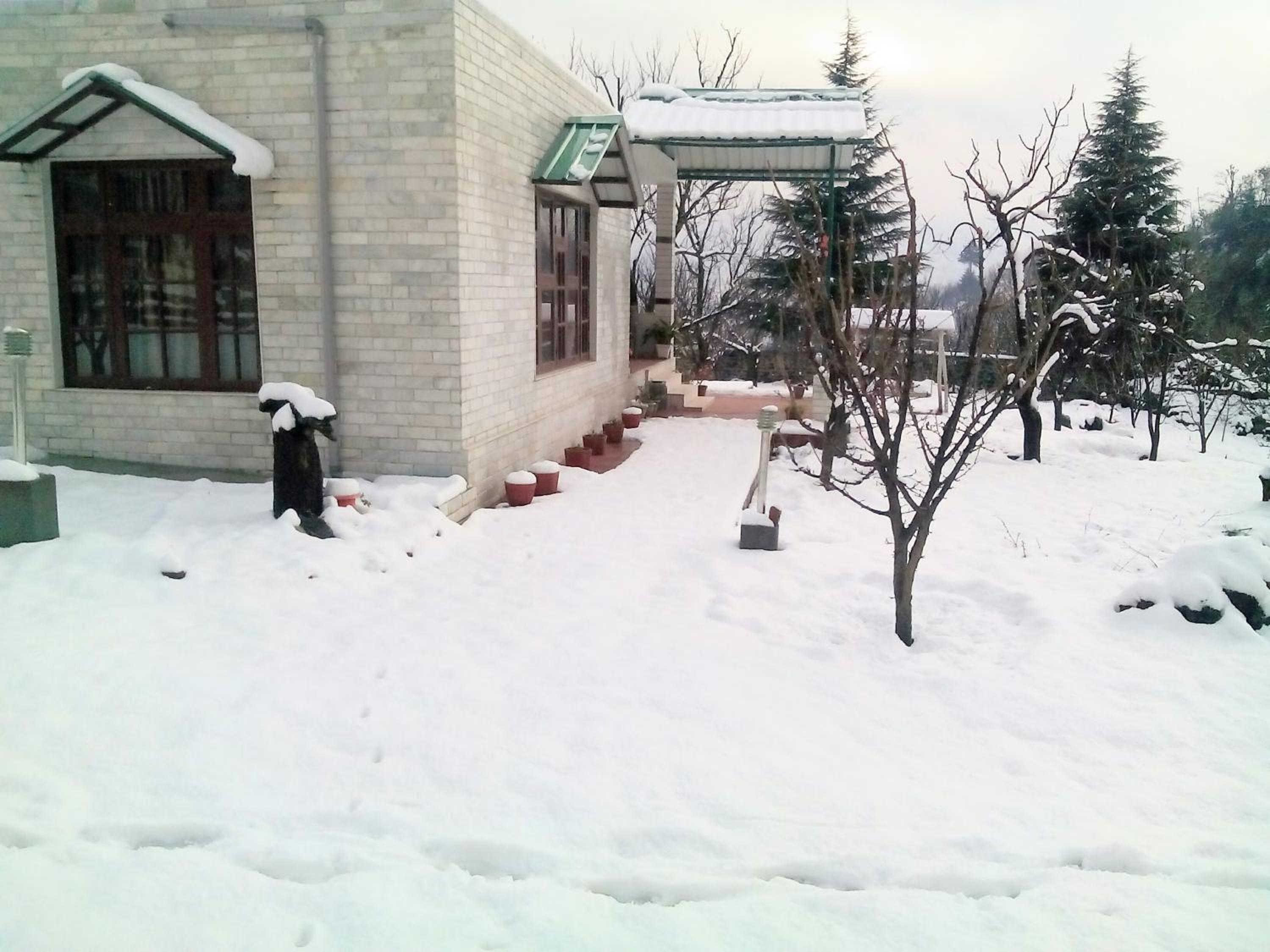 Photo 45