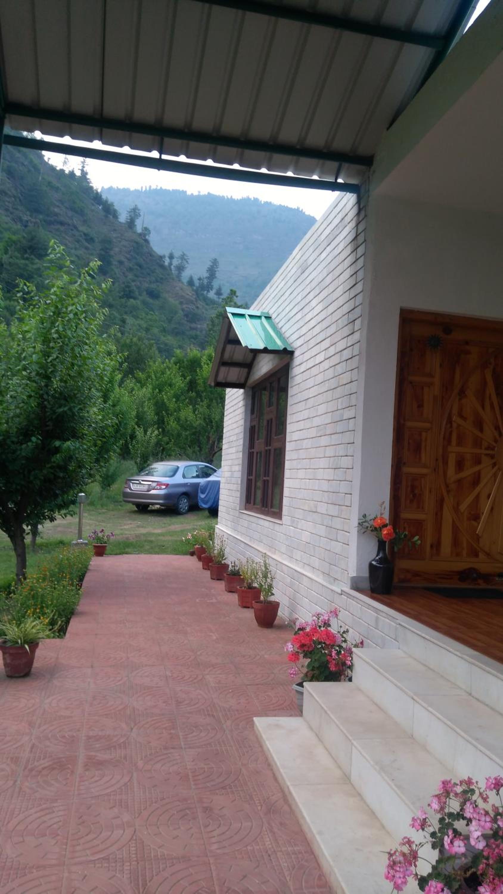 Photo 11