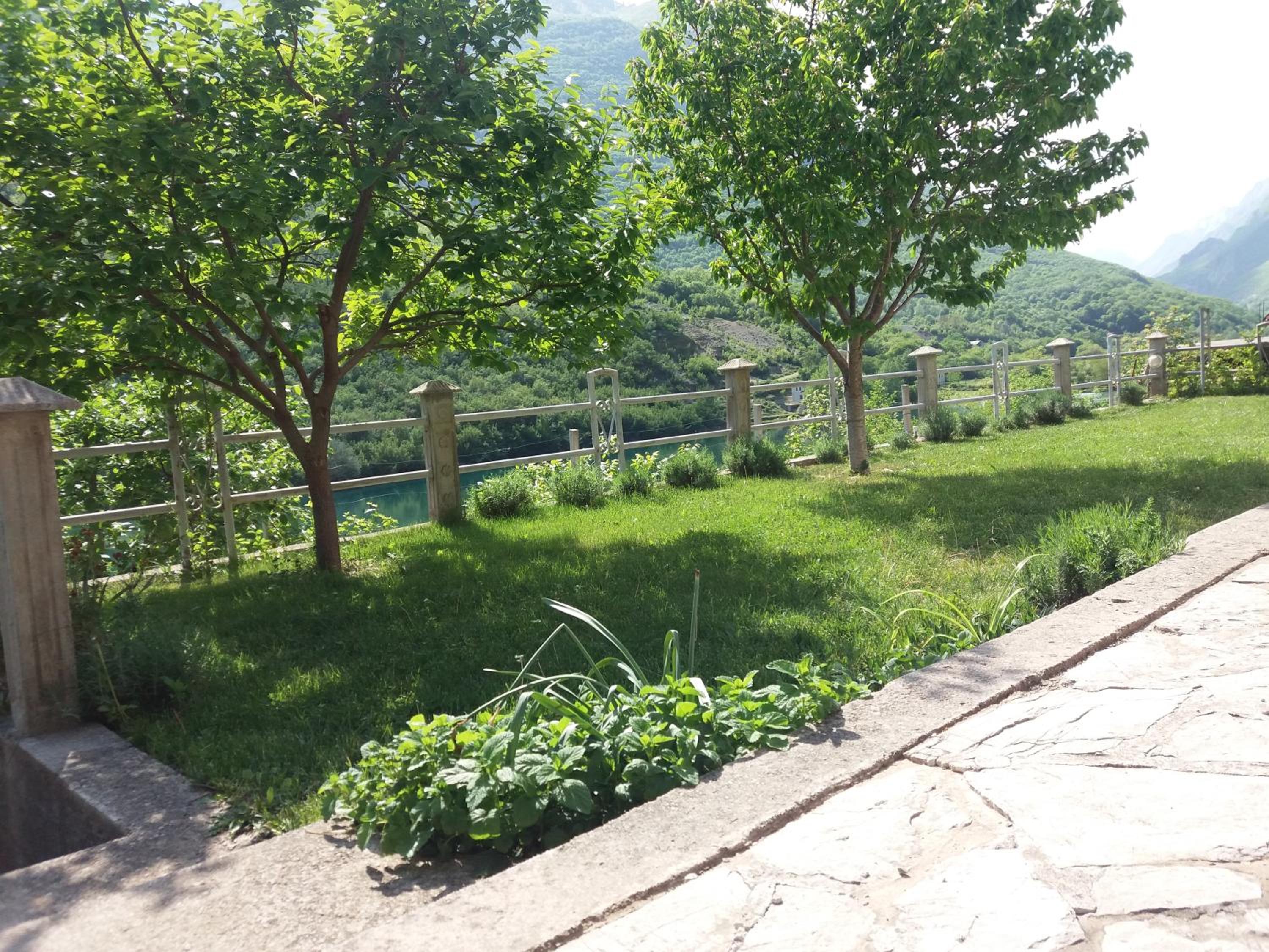 Kuća Lavanda