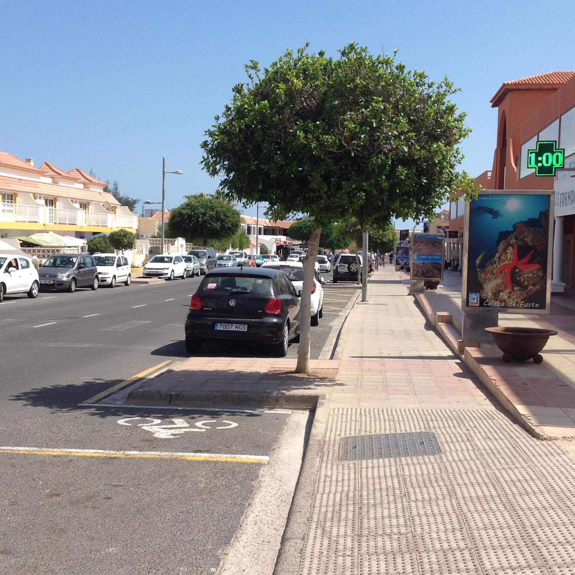 Photo 45