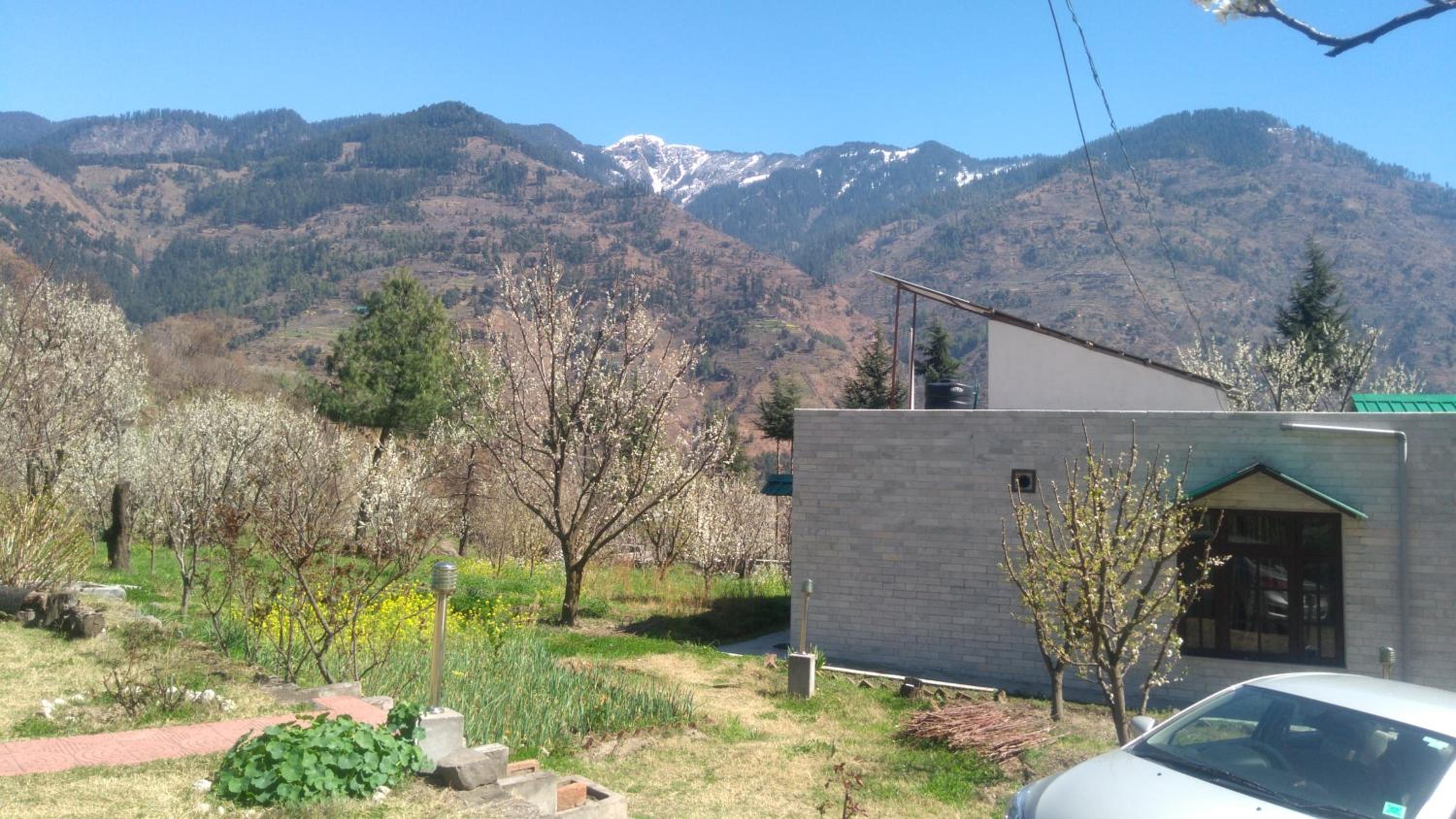 Photo 46