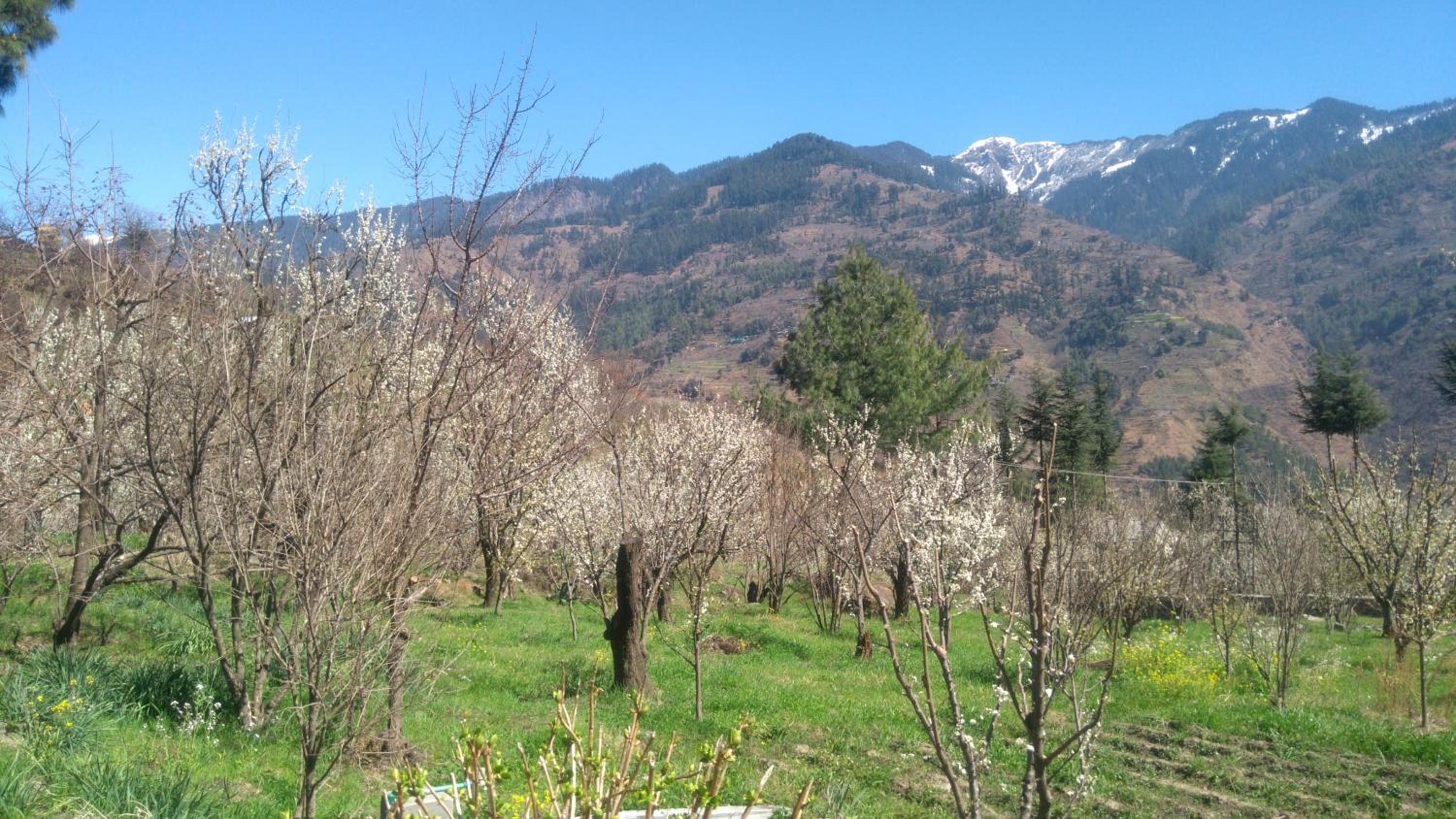 Photo 13