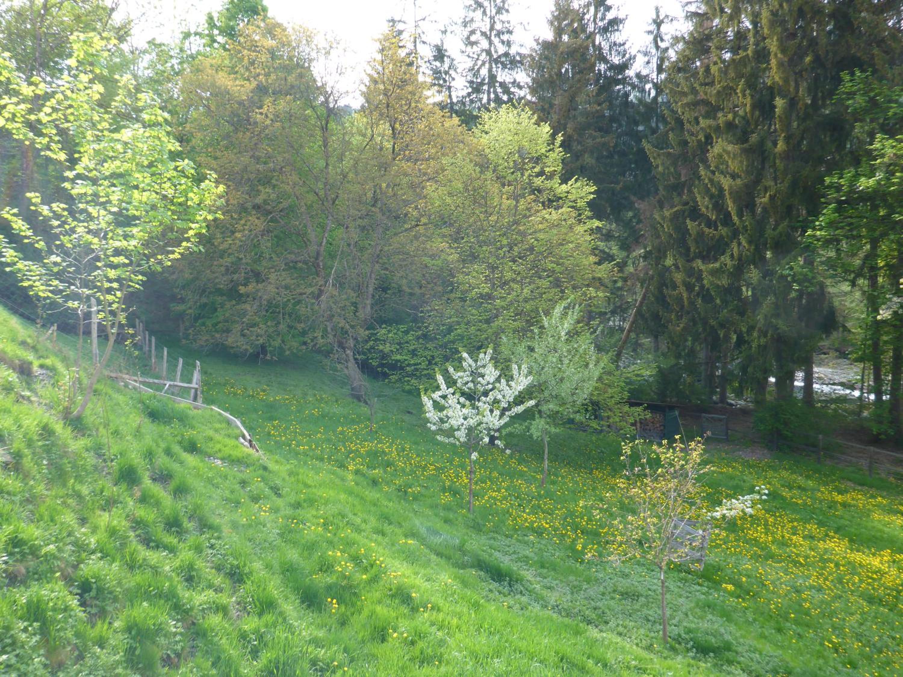 Photo 26