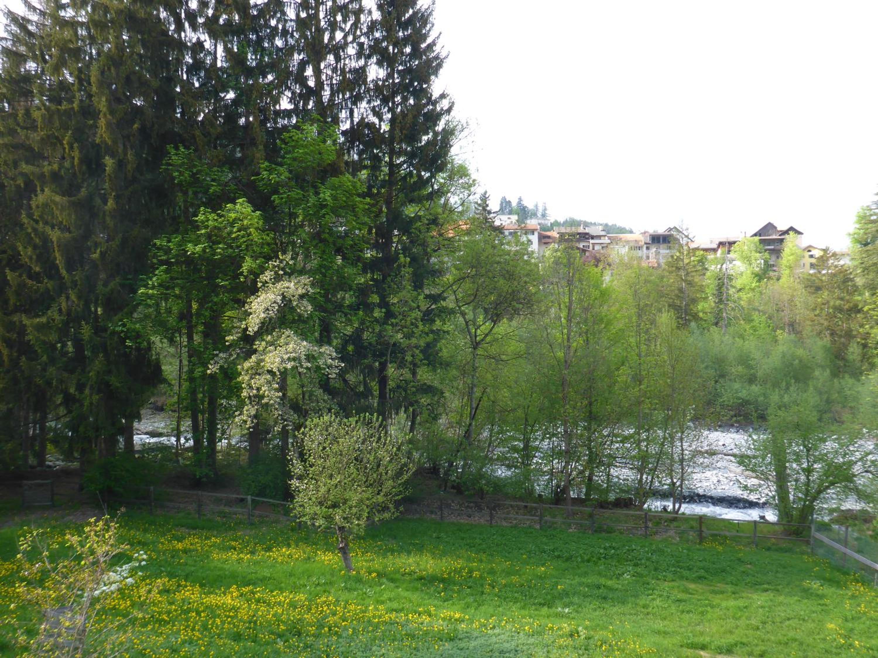 Photo 24