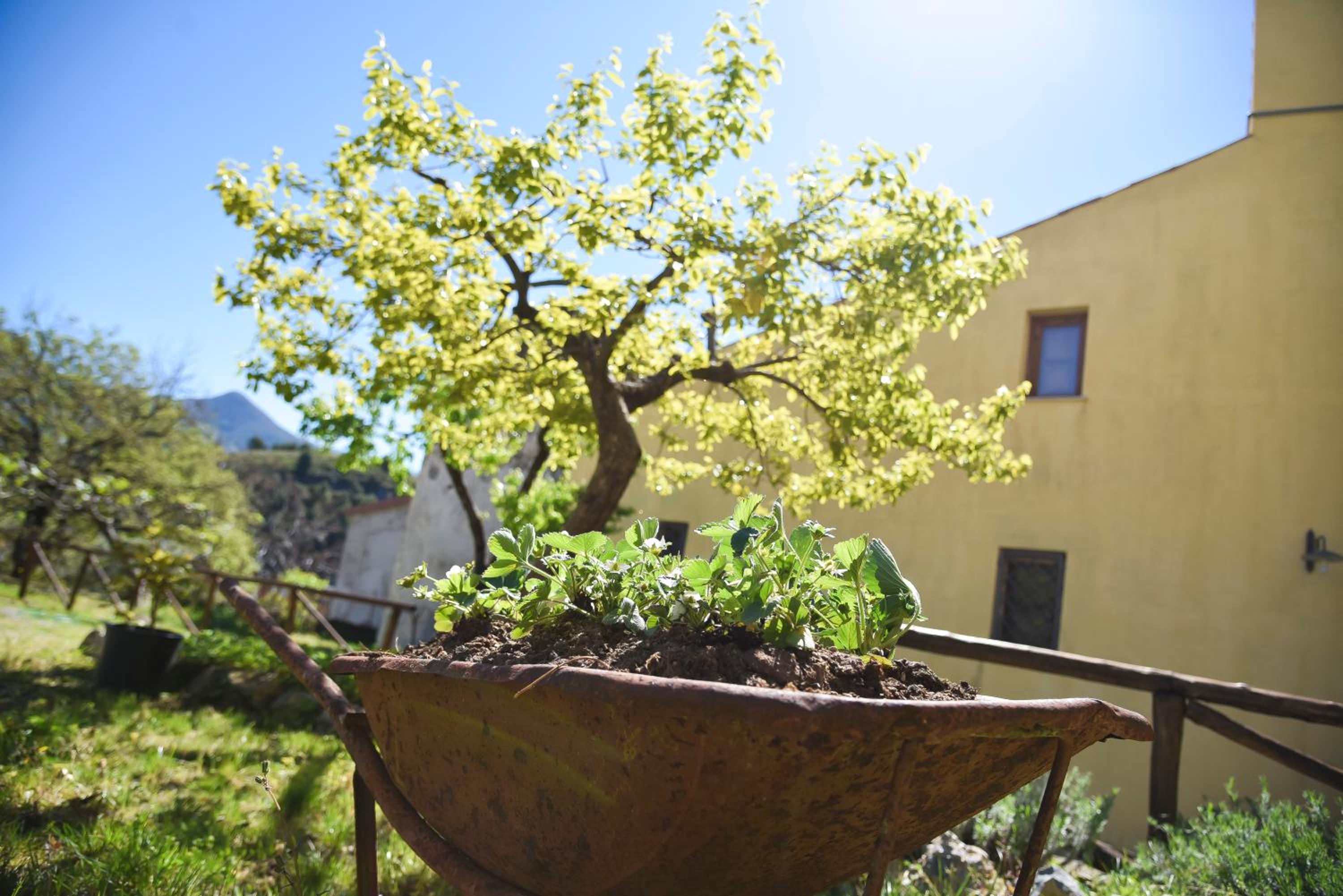 Il Giardino di Julia B&B