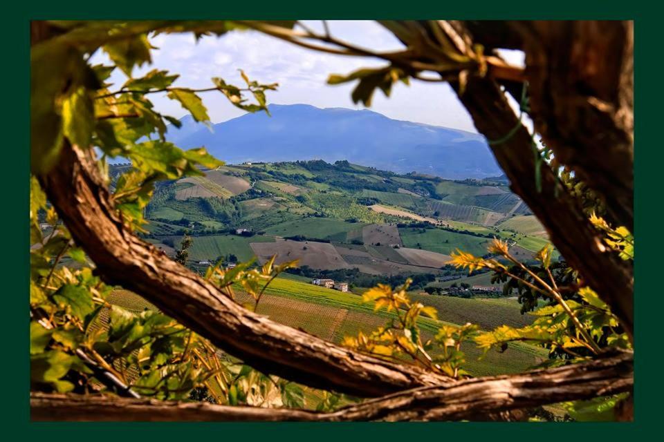 Agriturismo San Michele