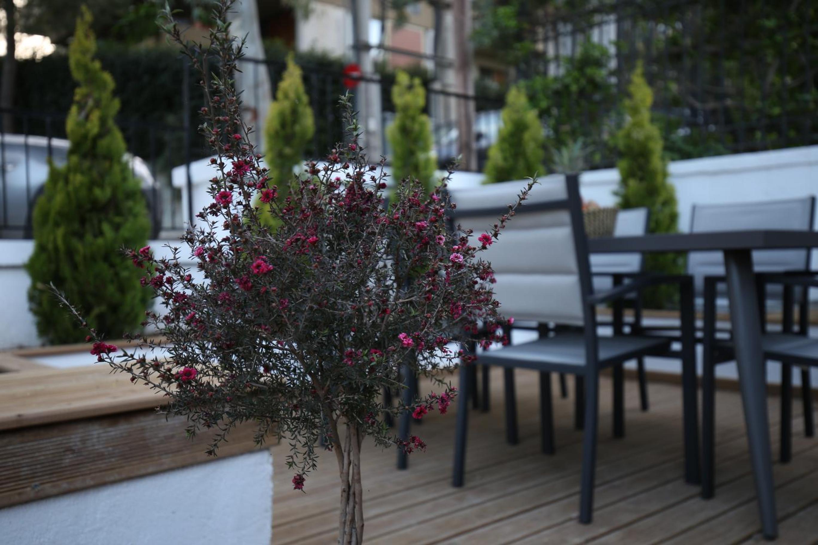 Little Small Villa In Psychiko, Athens