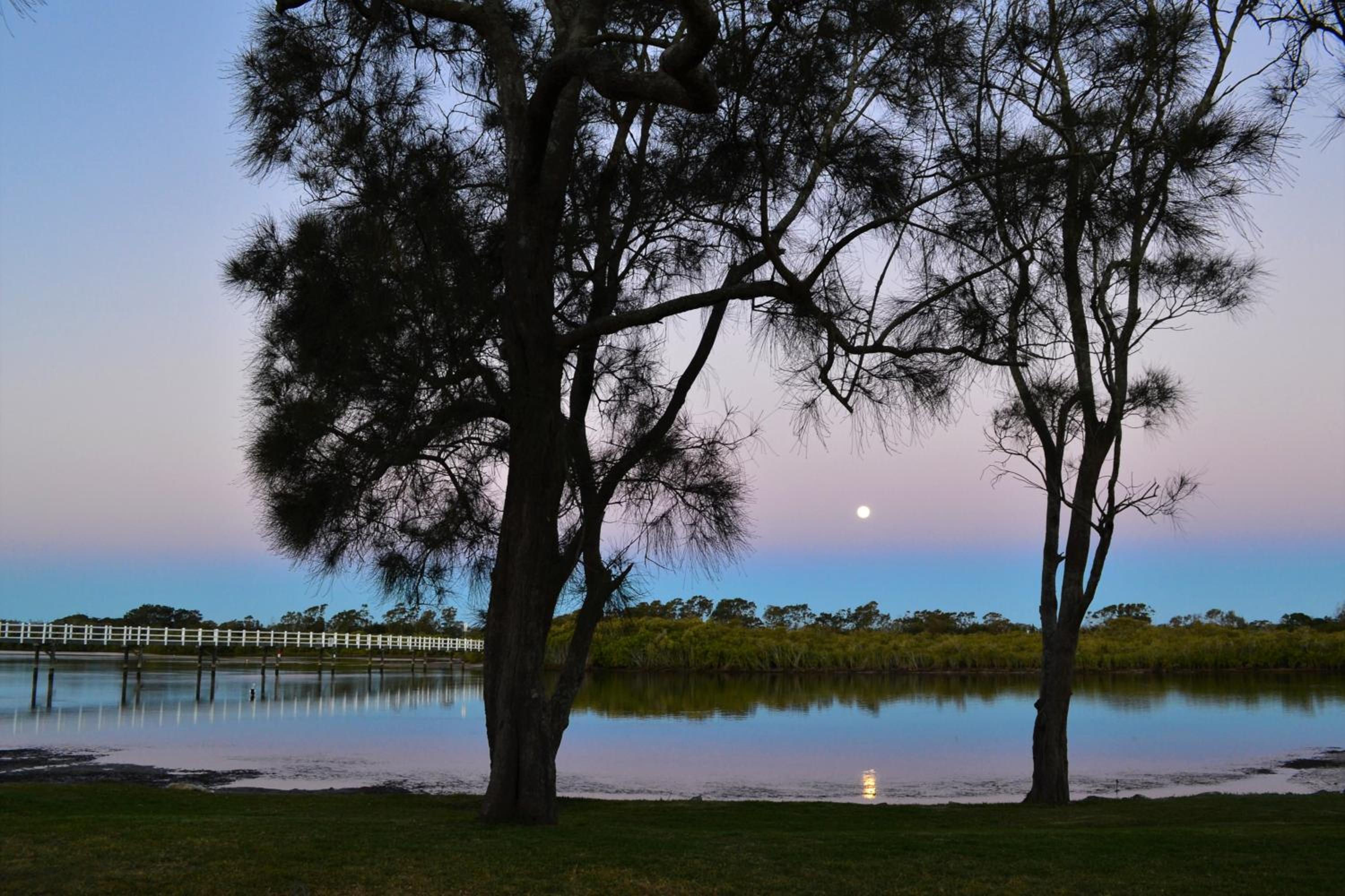 Stuarts Point Holiday Park view 4