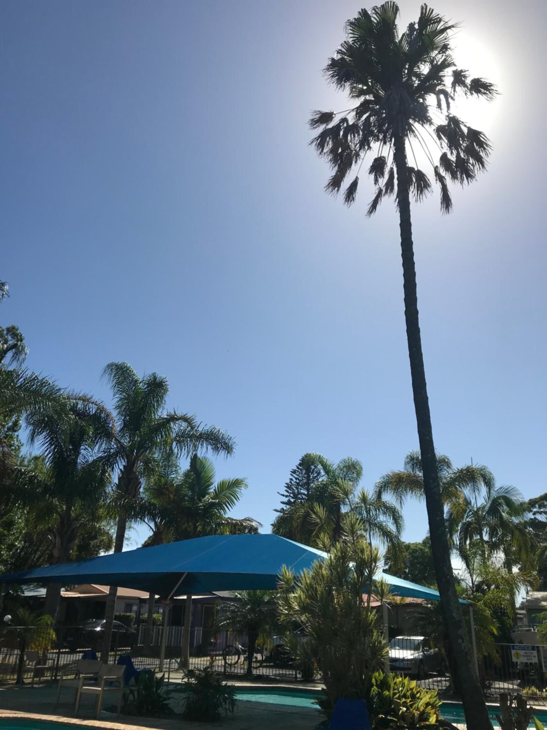 Lani's Holiday Island